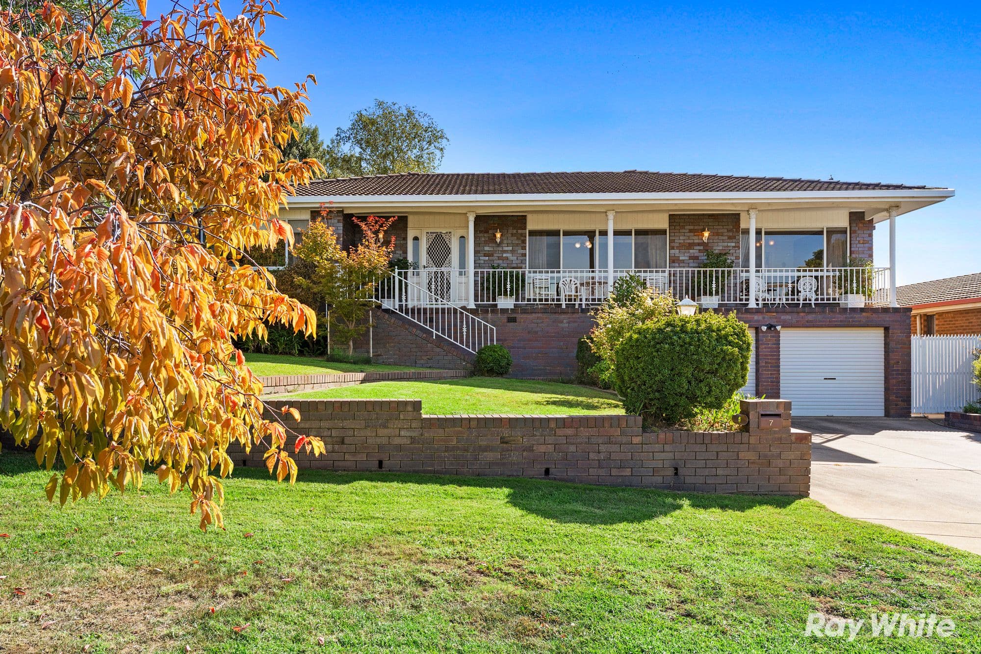 7 Henwood Avenue, Kooringal NSW 2650, Kooringal - Image 1