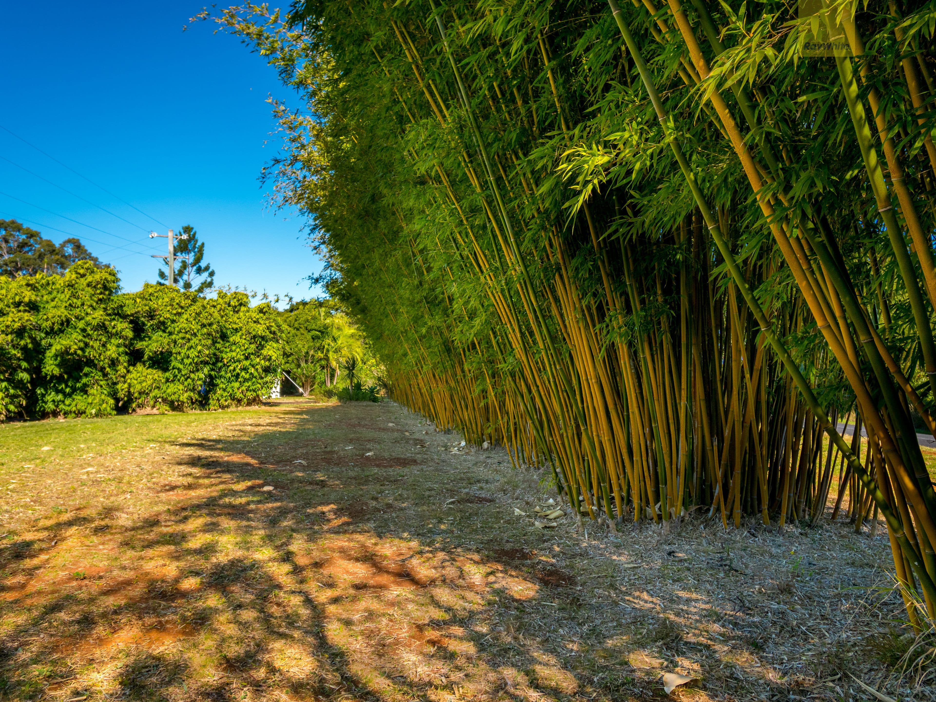 246 Duncan Road, Numulgi - Thumbnail 7