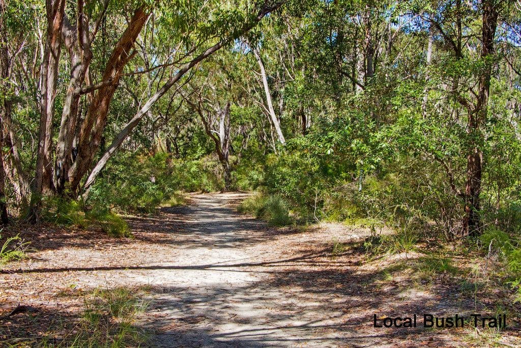 375 Lieutenant Bowen Drive, Bowen Mountain NSW 2753, Bowen Mountain - Thumbnail 5