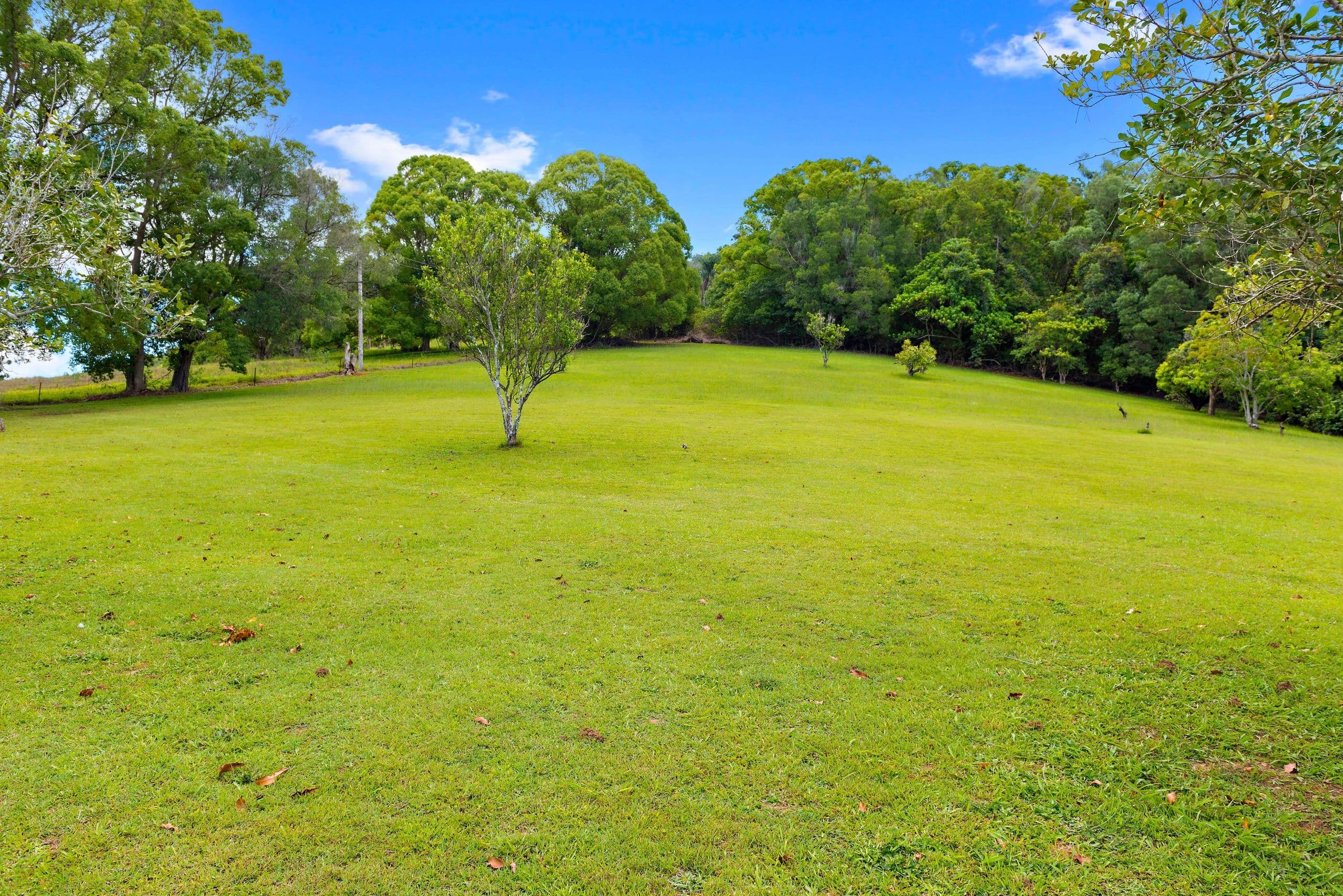 600 Tallebudgera Creek Road, Tallebudgera Valley QLD 4228, Tallebudgera Valley - Image 1