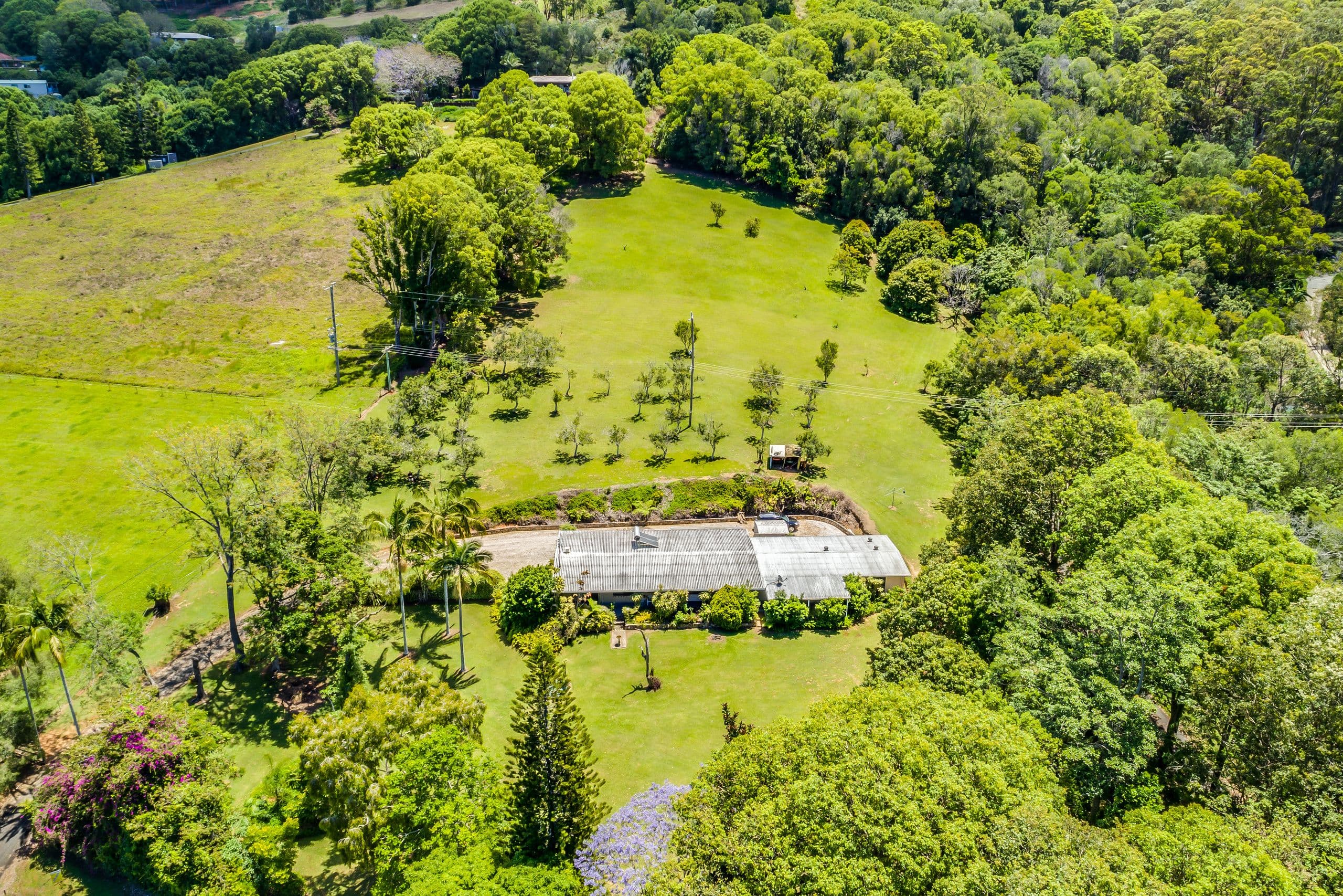 600 Tallebudgera Creek Road, Tallebudgera Valley QLD 4228, Tallebudgera Valley - Thumbnail 5