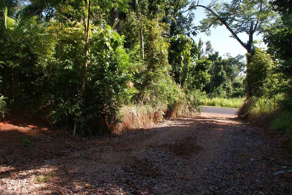 Lot 10 Bingil Bay Road, MIDGEREE BAR QLD 4852, Midgeree Bar - Image 1