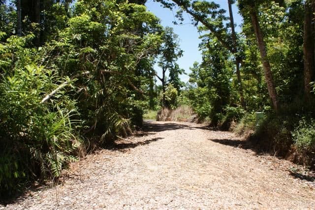 Lot 10 Bingil Bay Road, MIDGEREE BAR QLD 4852, Midgeree Bar - Thumbnail 4