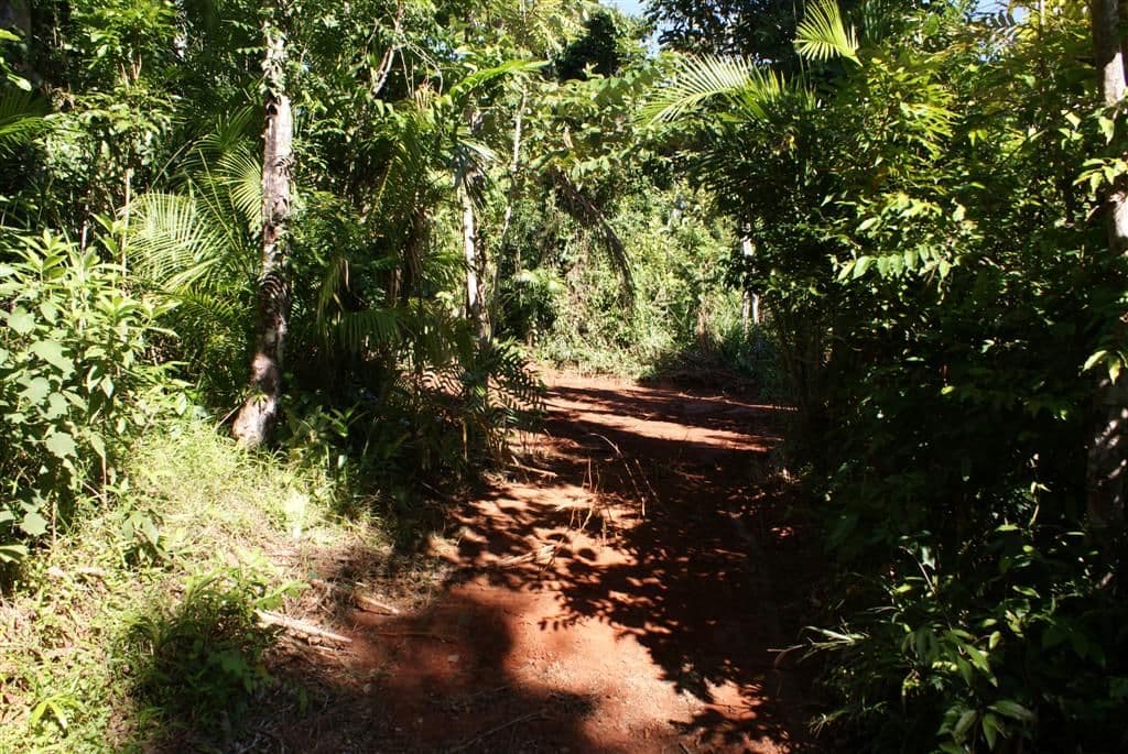 Lot 10 Bingil Bay Road, MIDGEREE BAR QLD 4852, Midgeree Bar - Thumbnail 5
