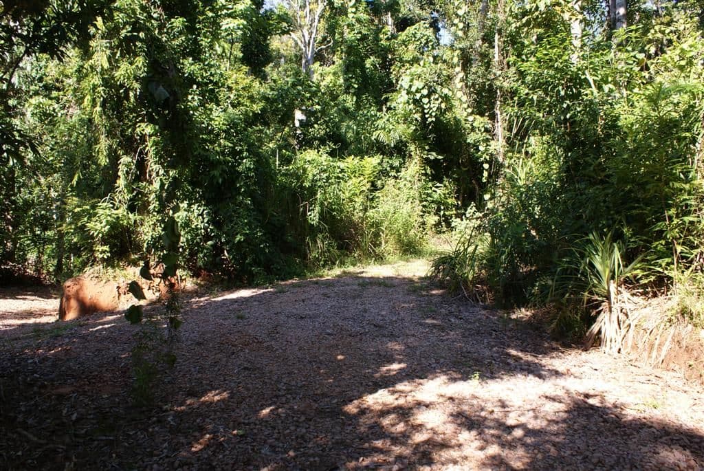 Lot 10 Bingil Bay Road, MIDGEREE BAR QLD 4852, Midgeree Bar - Thumbnail 6