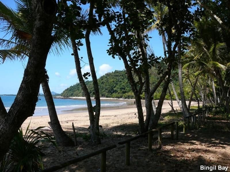 Lot 10 Bingil Bay Road, MIDGEREE BAR QLD 4852, Midgeree Bar - Thumbnail 8