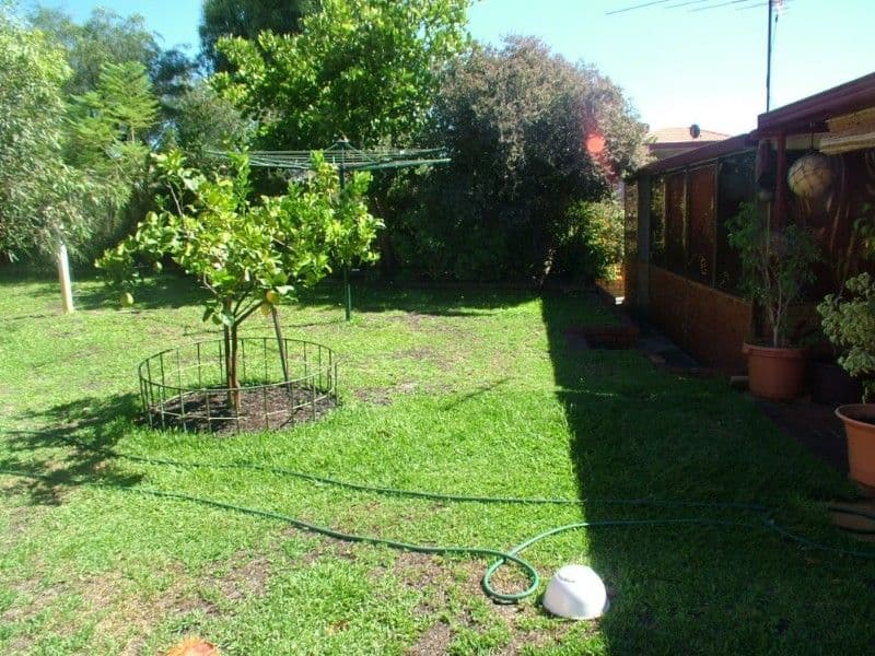 29 Kellerman Way, GOSNELLS WA 6110, Gosnells - Thumbnail 3