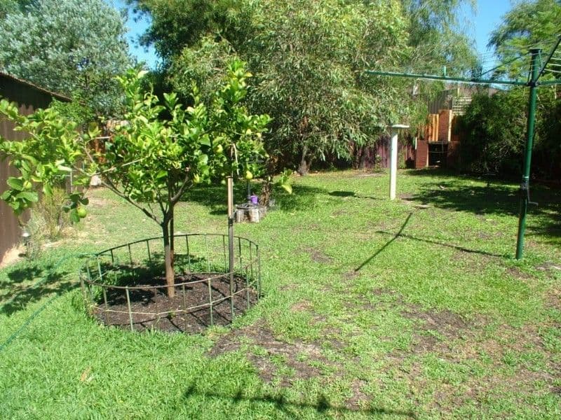 29 Kellerman Way, GOSNELLS WA 6110, Gosnells - Thumbnail 4