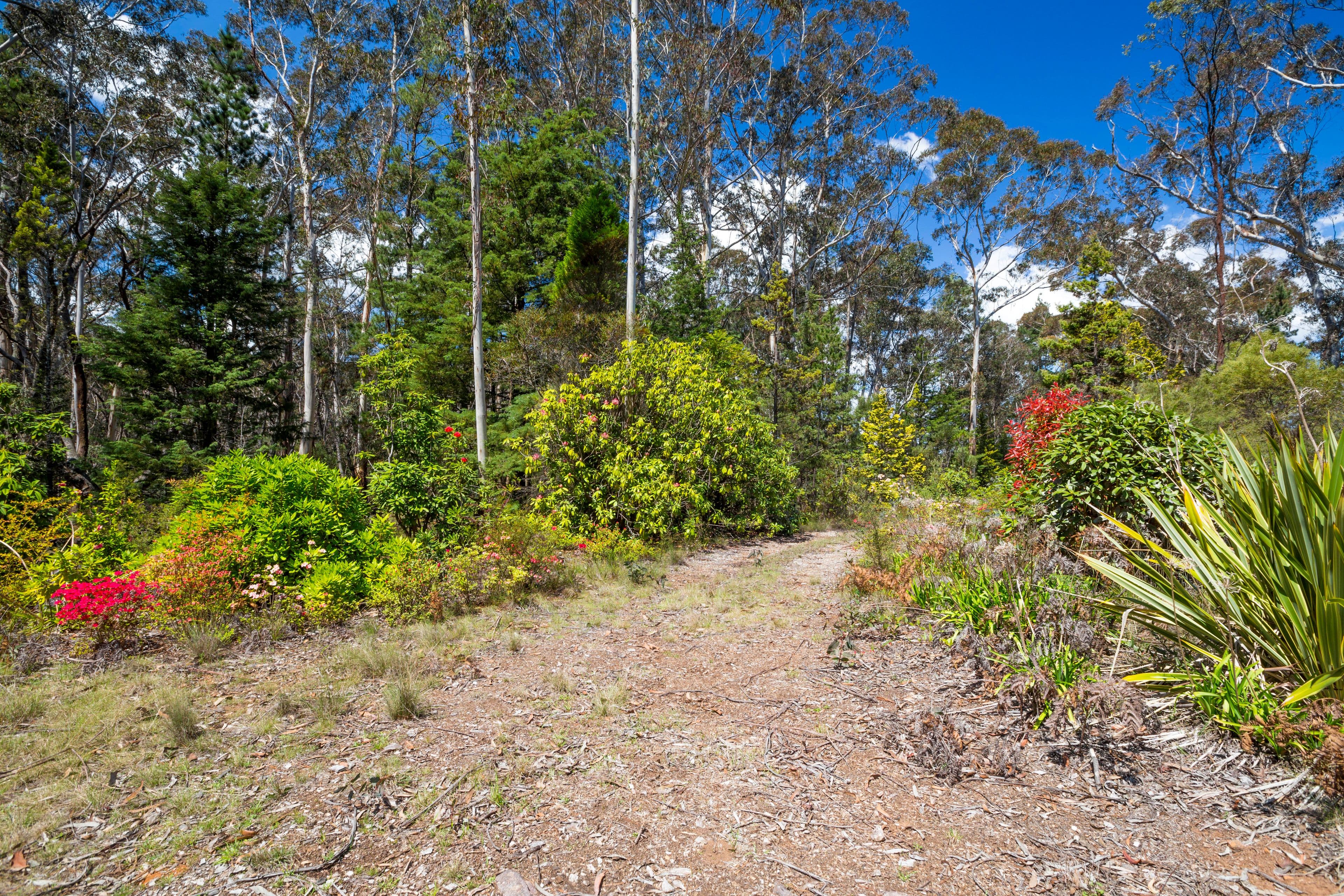 34-36 Rutland Road, Medlow Bath NSW 2780, Medlow Bath - Image 1