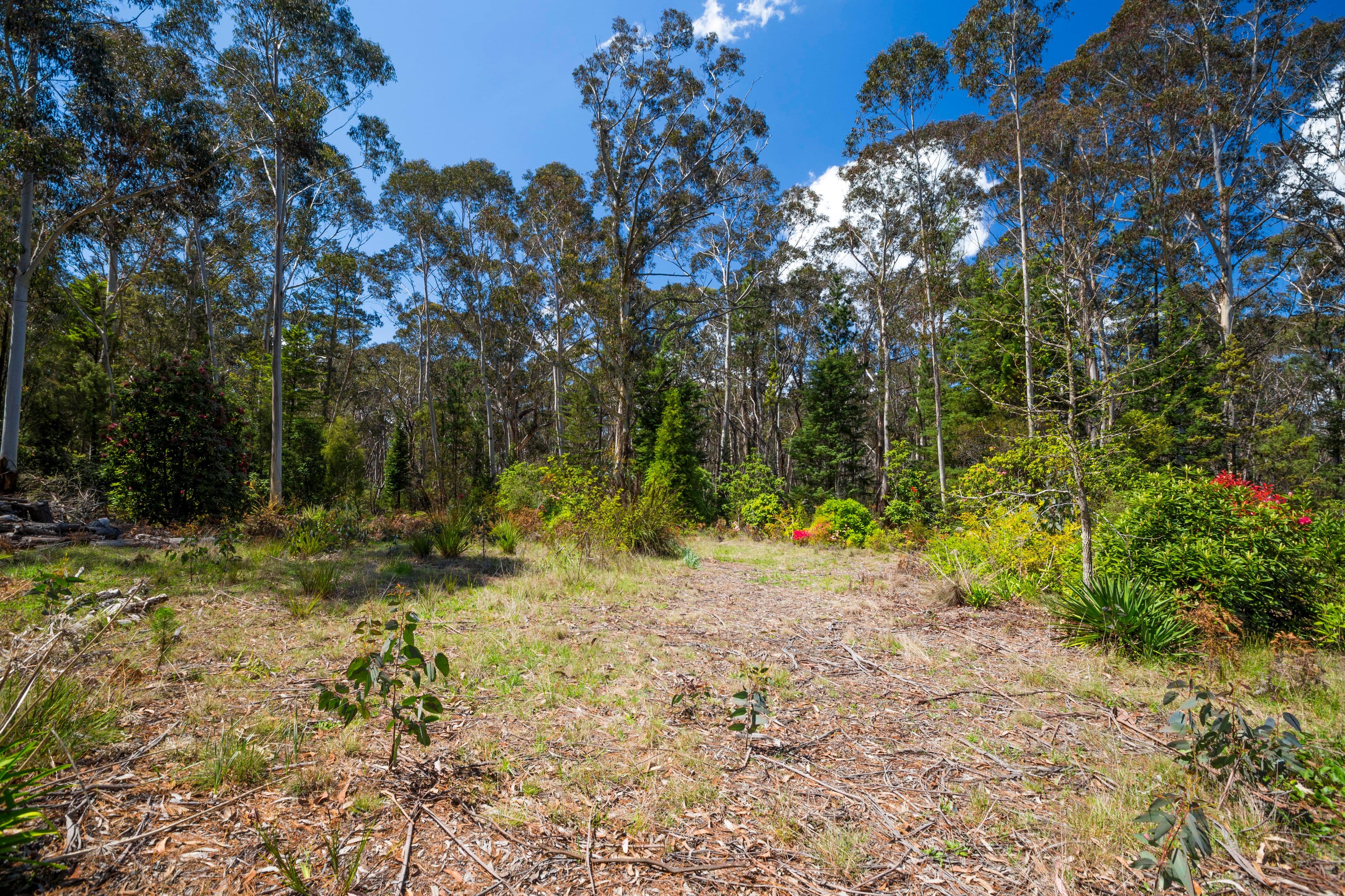 34-36 Rutland Road, Medlow Bath NSW 2780, Medlow Bath - Thumbnail 3