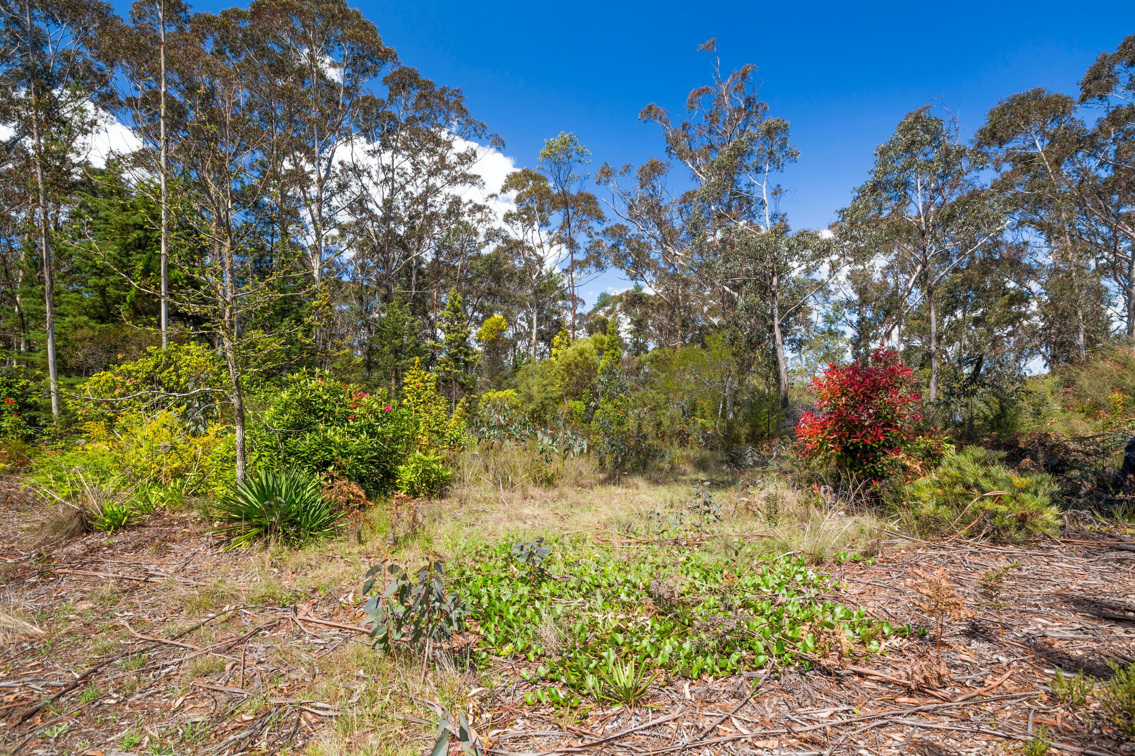 34-36 Rutland Road, Medlow Bath NSW 2780, Medlow Bath - Thumbnail 4