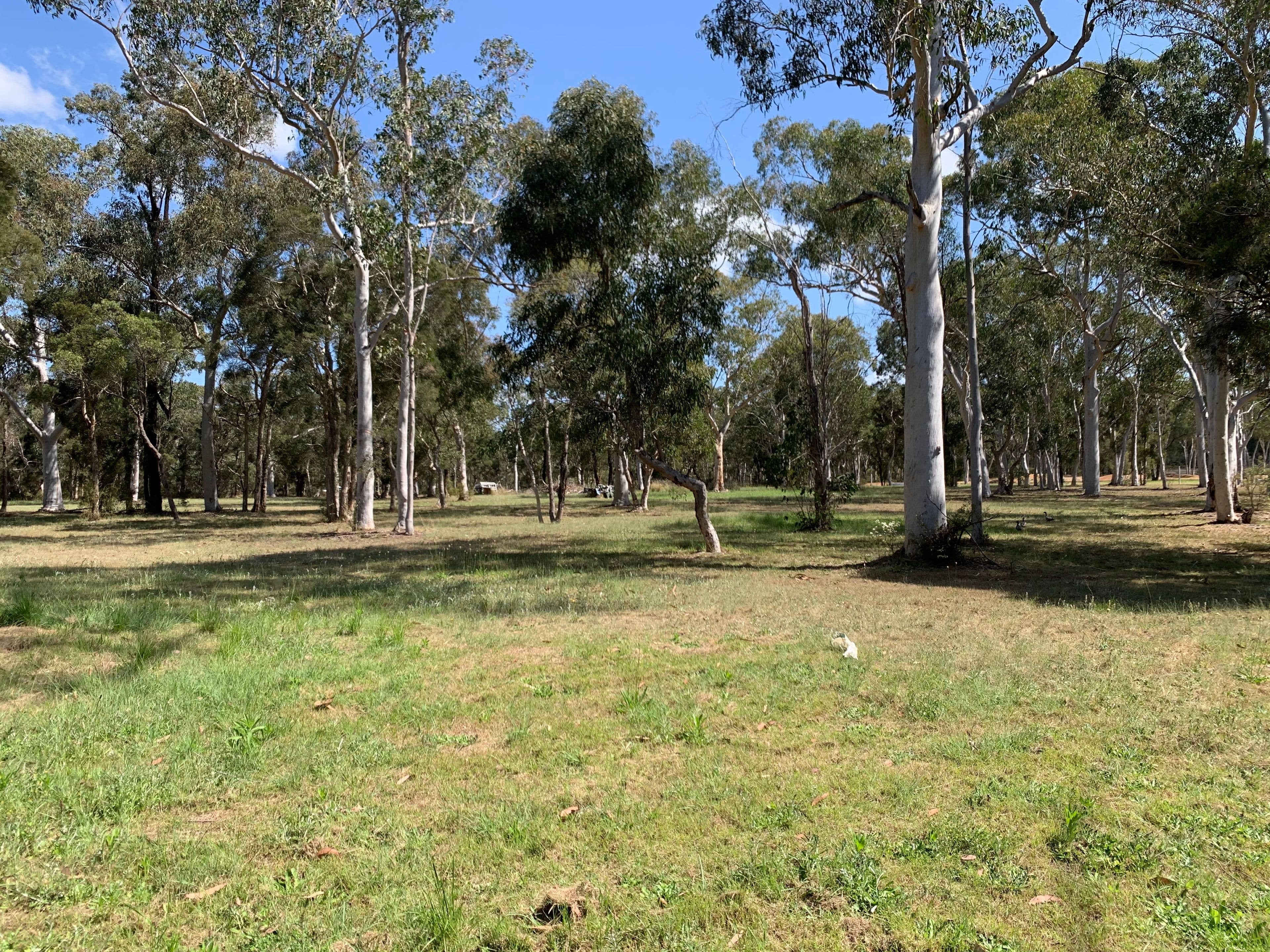 32 Torkington Road, Londonderry NSW 2753, Londonderry - Thumbnail 2