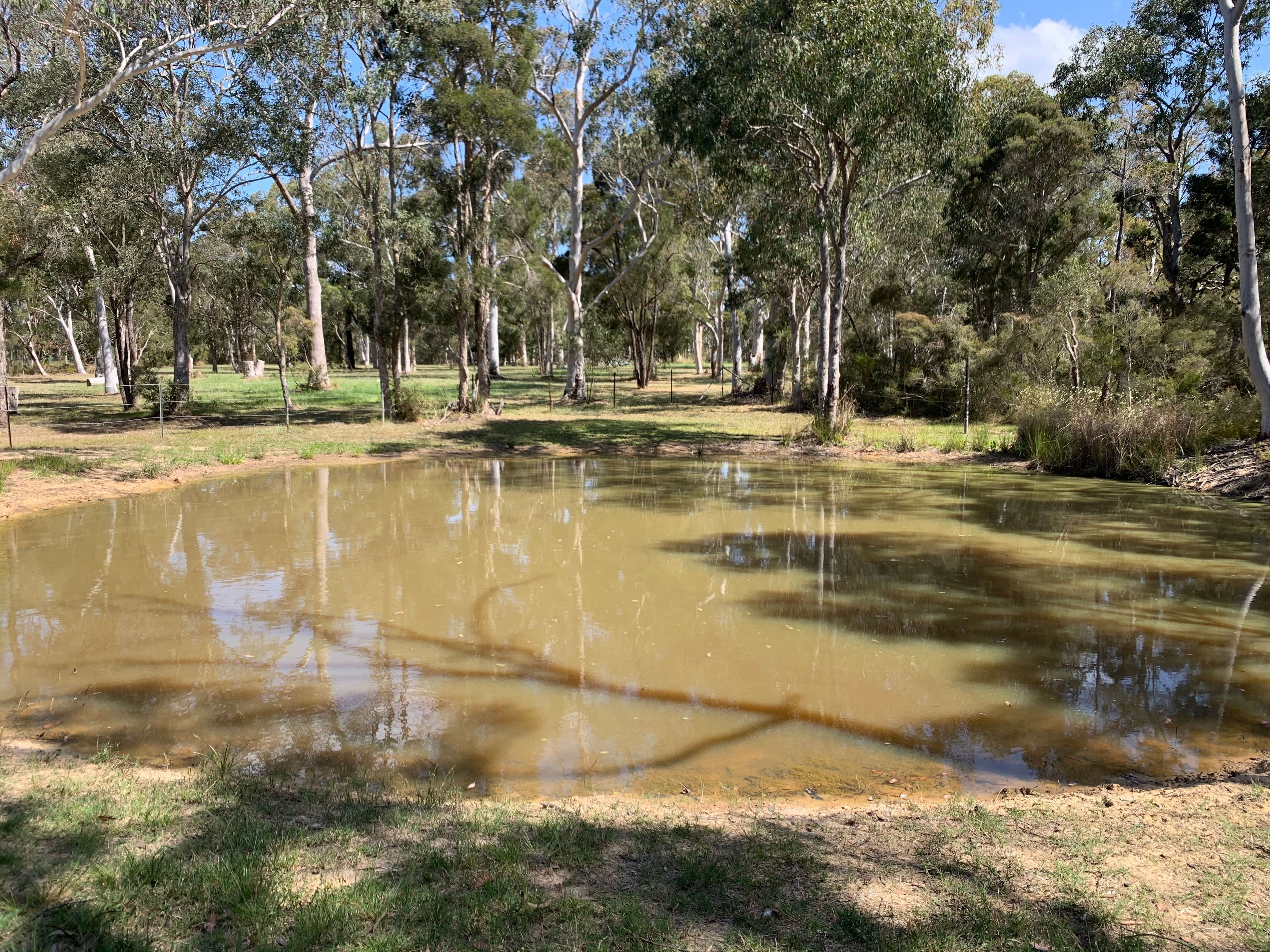 32 Torkington Road, Londonderry NSW 2753, Londonderry - Thumbnail 3