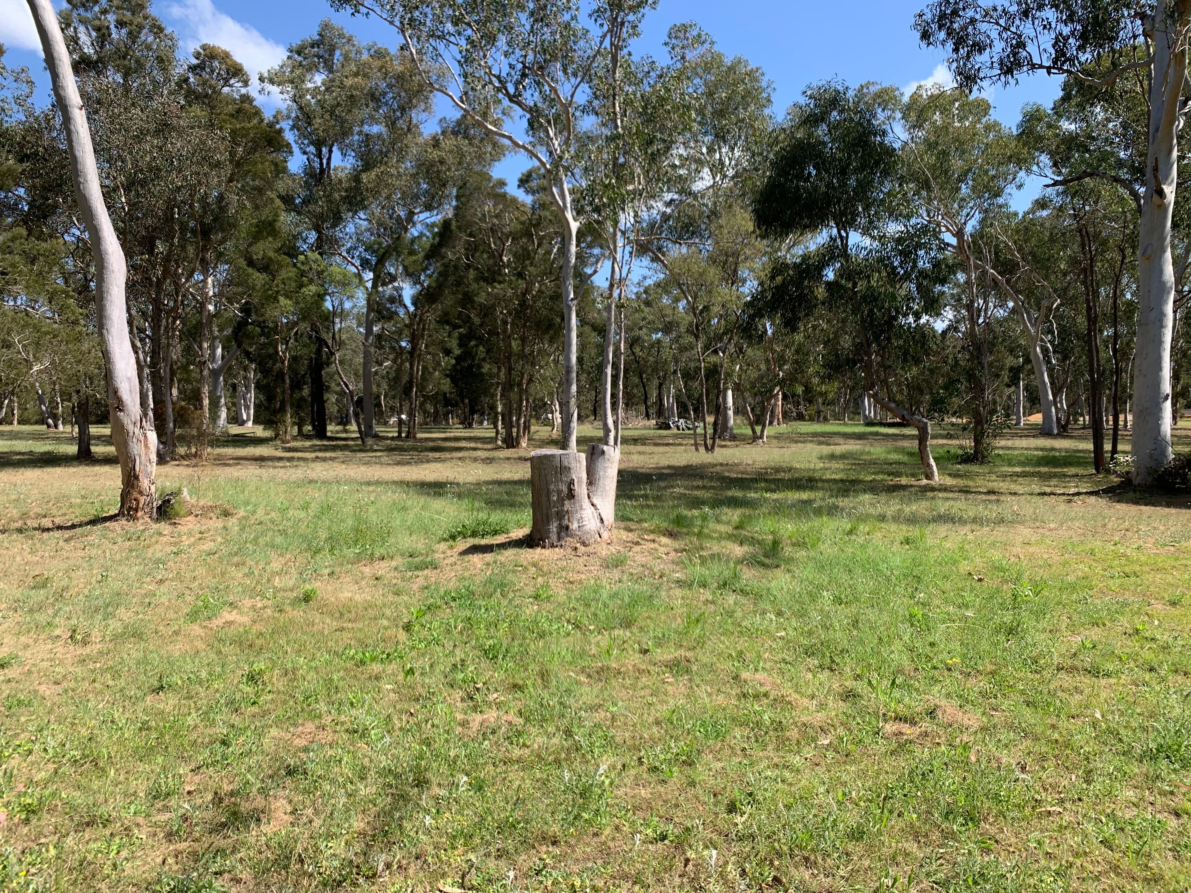 32 Torkington Road, Londonderry NSW 2753, Londonderry - Thumbnail 6