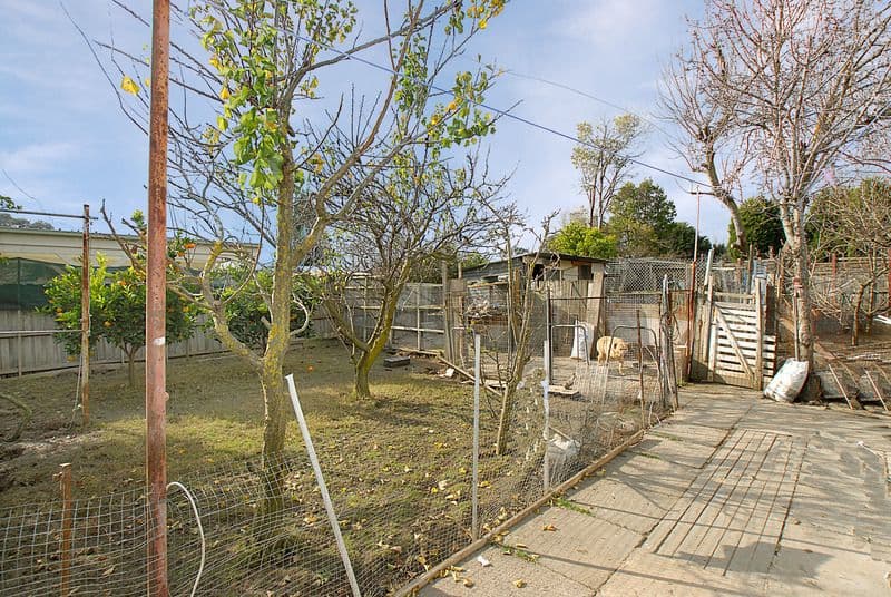 3 Oak Avenue, DOVETON VIC 3177, Doveton - Thumbnail 4
