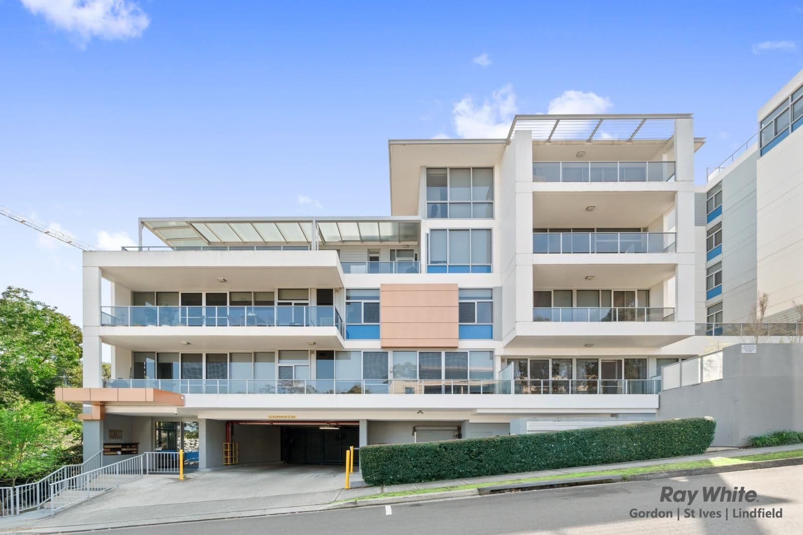 11 McIntyre Street, Gordon NSW 2072, Gordon - Thumbnail 5