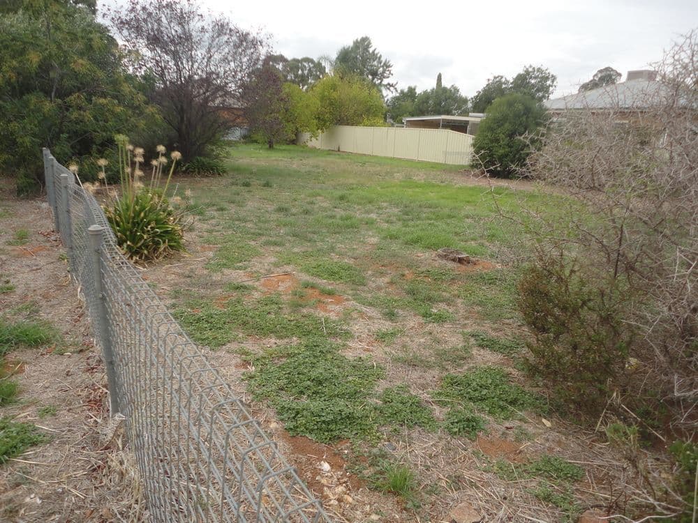 100 Tonkin Street, TEMORA NSW 2666, Temora - Thumbnail 3