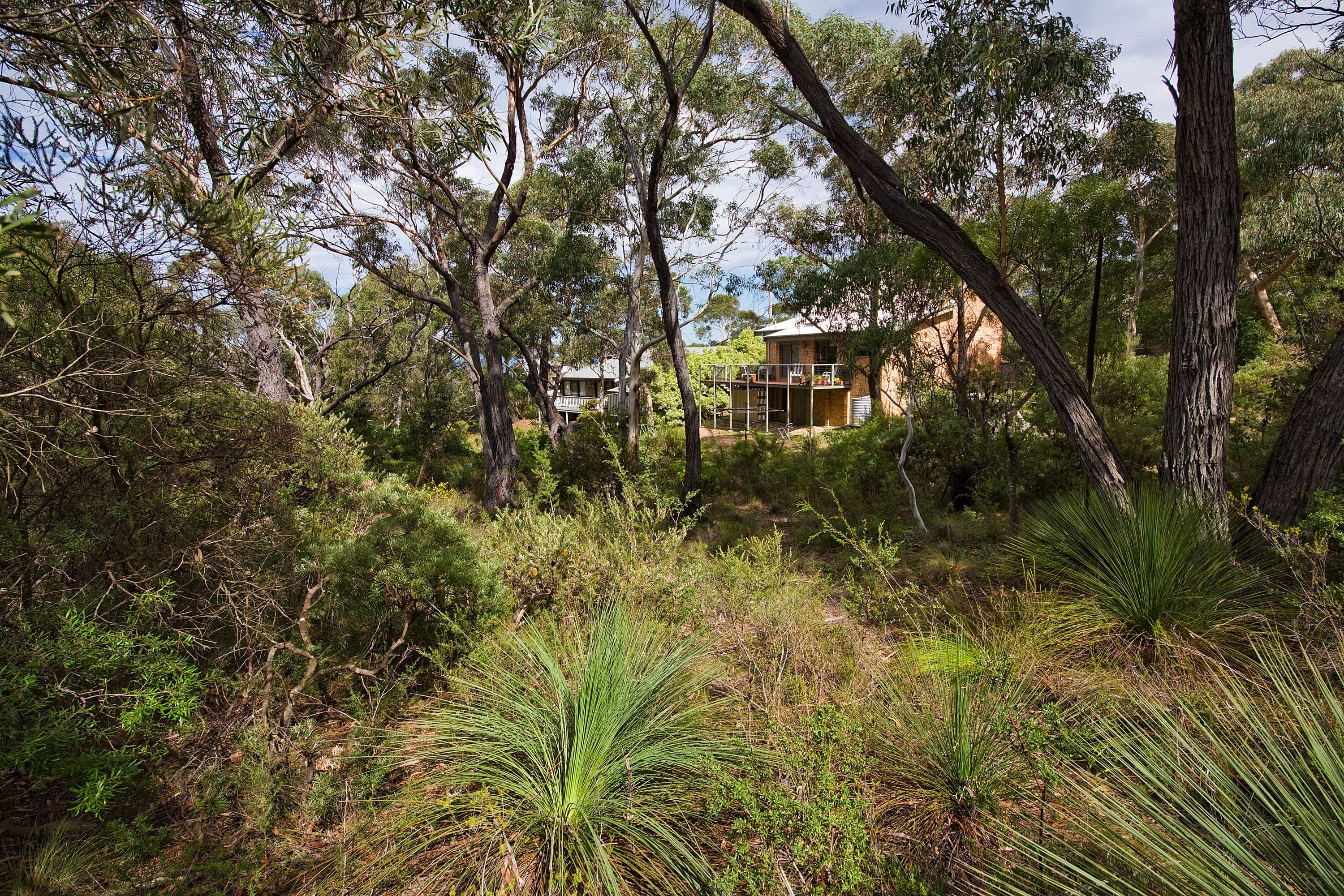28 Kenny Street, Mount Victoria - Thumbnail 7