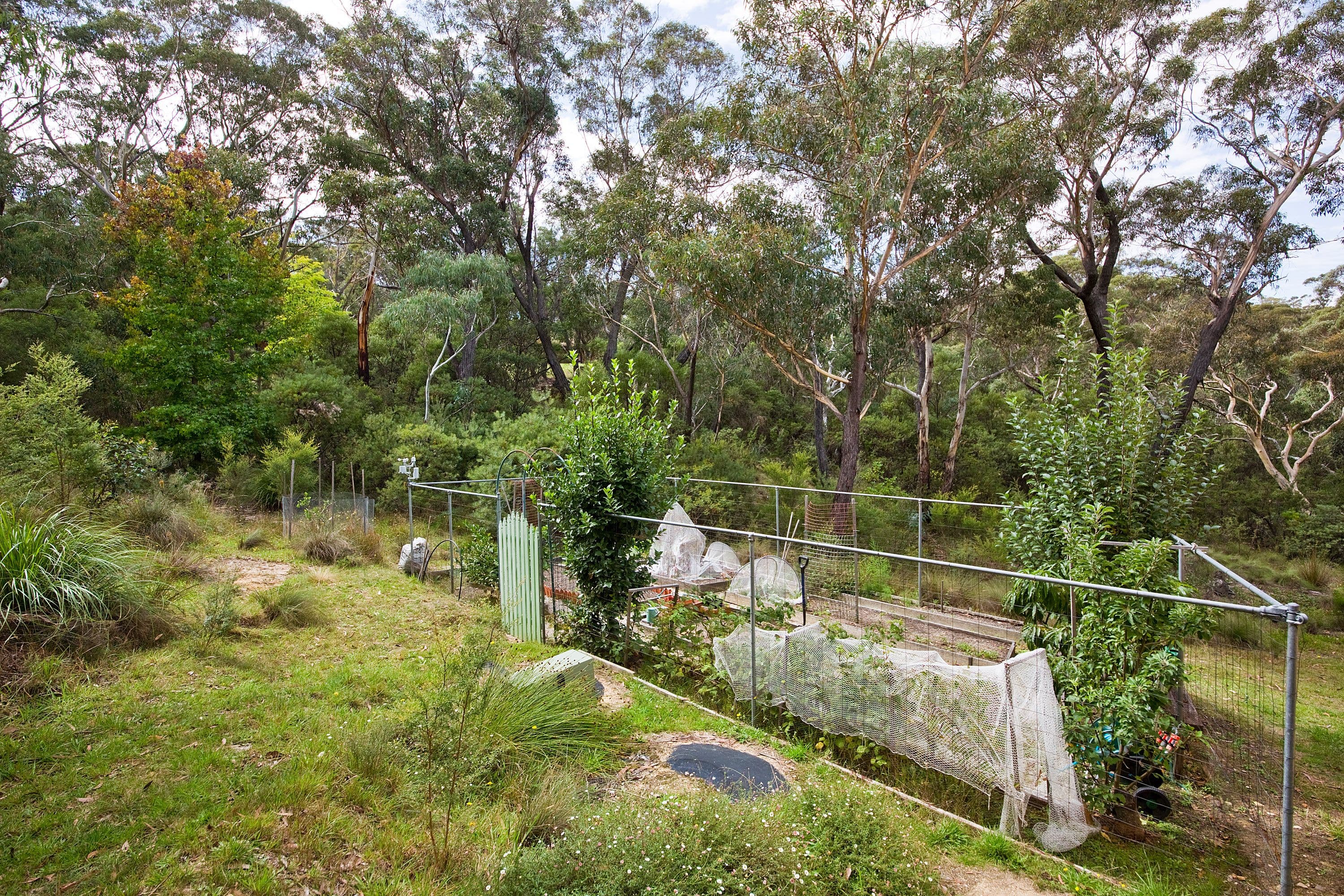 28 Kenny Street, Mount Victoria - Thumbnail 8
