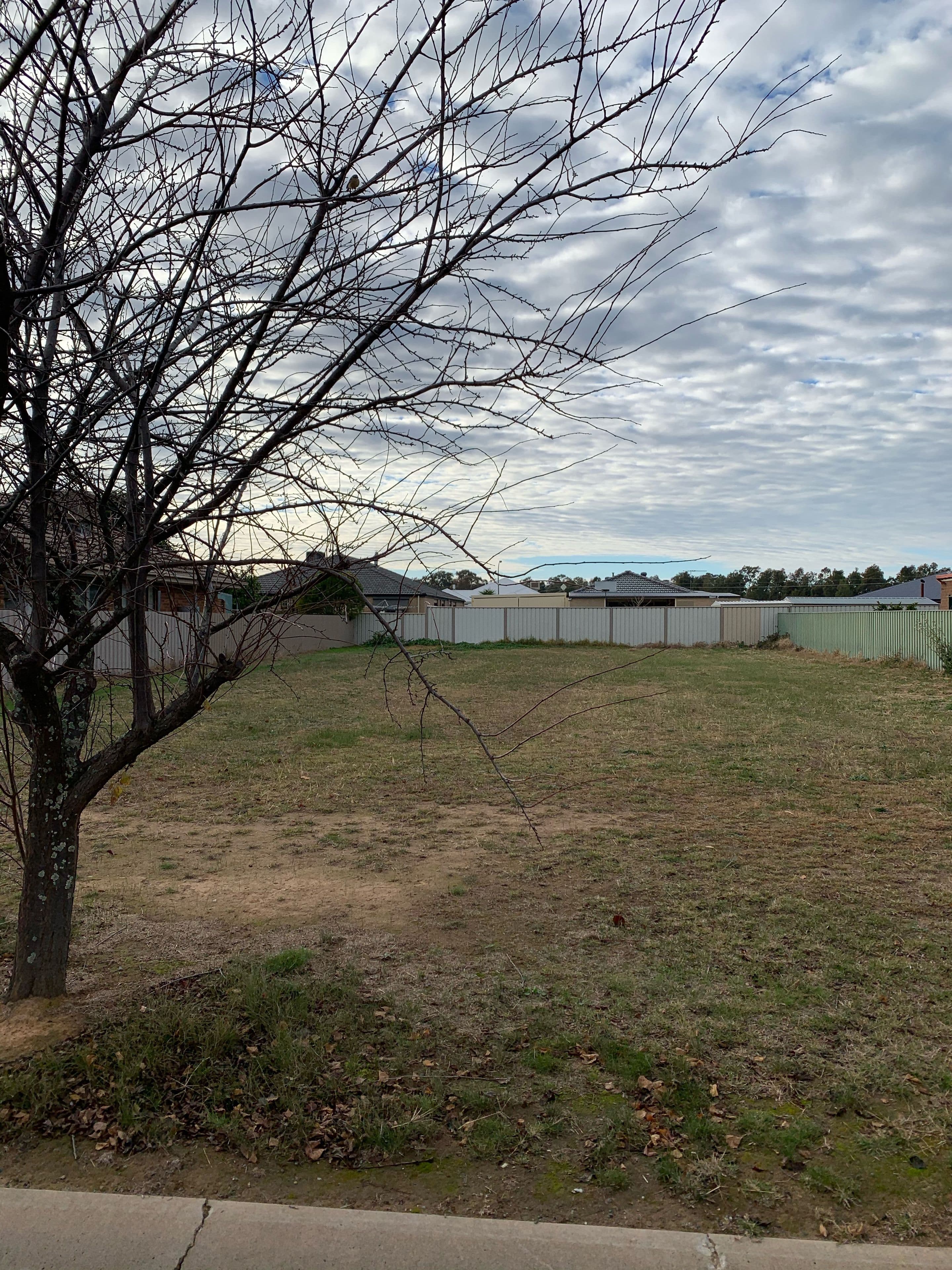 6 Sunnyside Crescent, Walla Walla NSW 2659, Walla Walla - Image 1