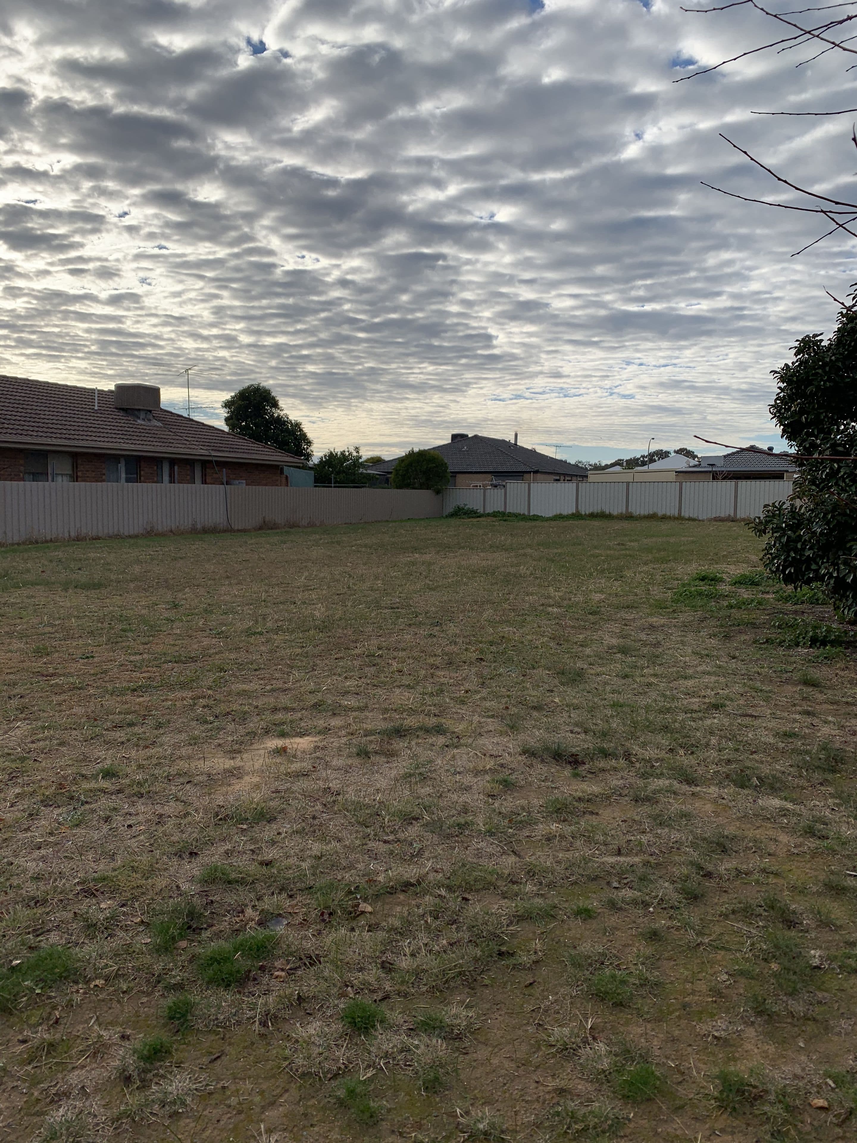 6 Sunnyside Crescent, Walla Walla NSW 2659, Walla Walla - Thumbnail 4