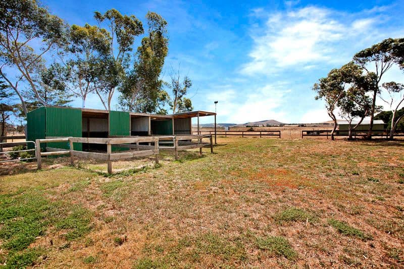 85  Darlington Drive, ANAKIE VIC 3221, Anakie - Thumbnail 8