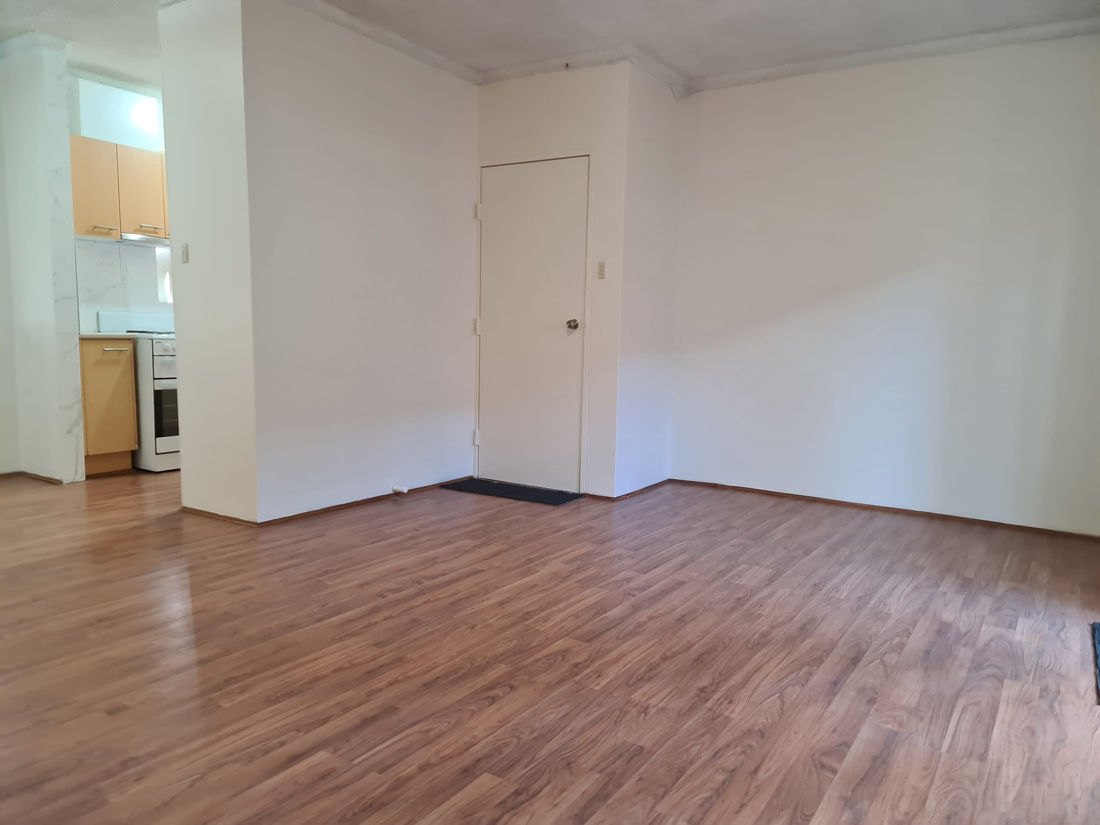 116 Elizabeth Drive, Liverpool NSW 2170, Liverpool - Thumbnail 3