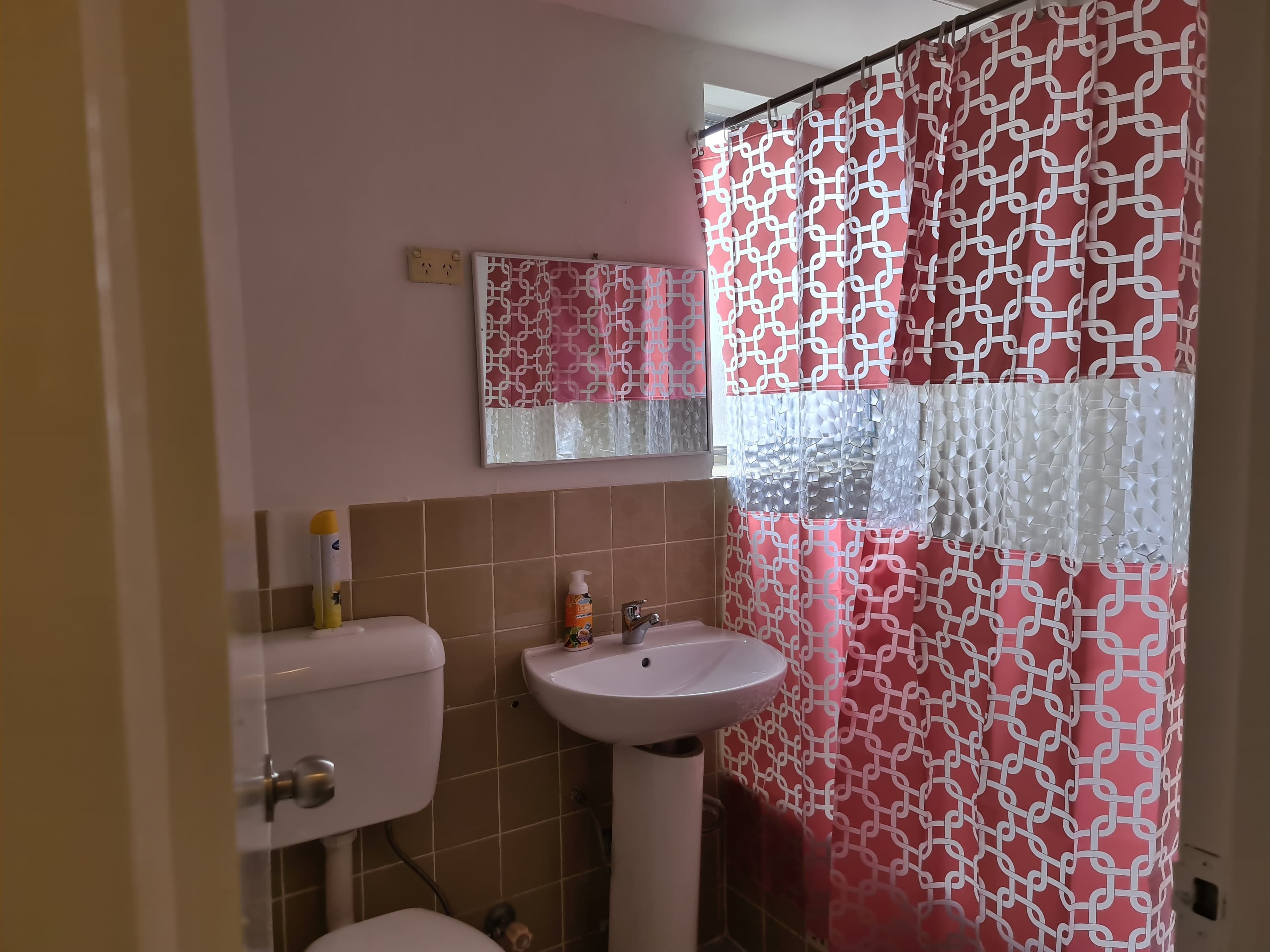 116 Elizabeth Drive, Liverpool NSW 2170, Liverpool - Thumbnail 5