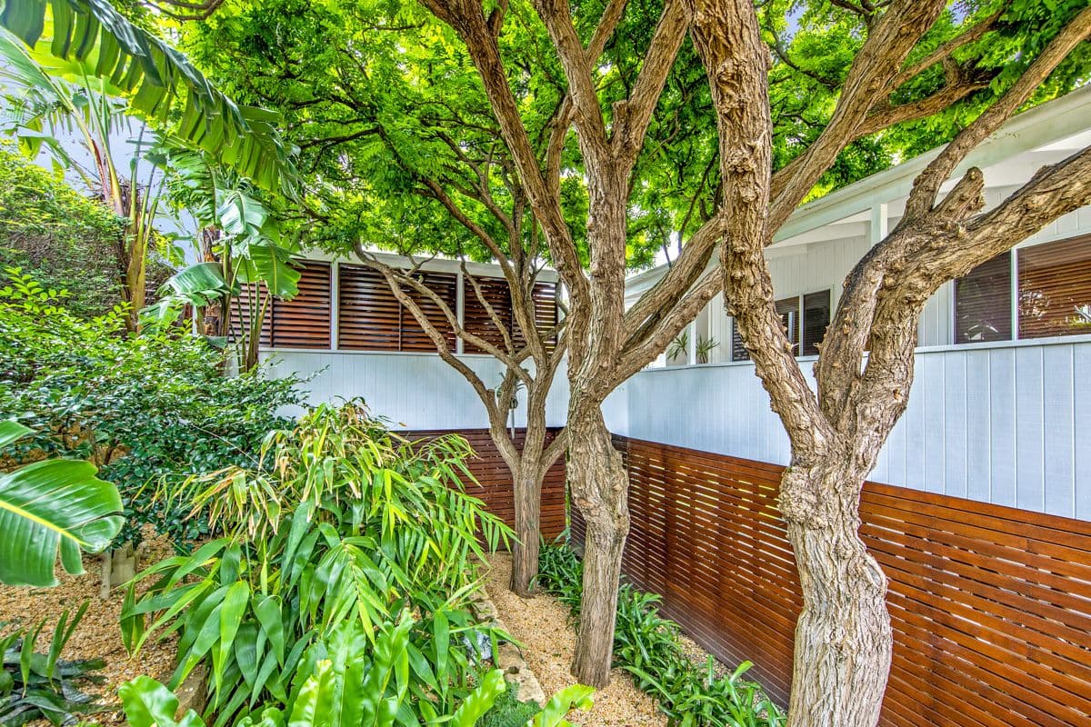 20 Sherburn Place, Charlestown NSW 2290, Charlestown - Thumbnail 2