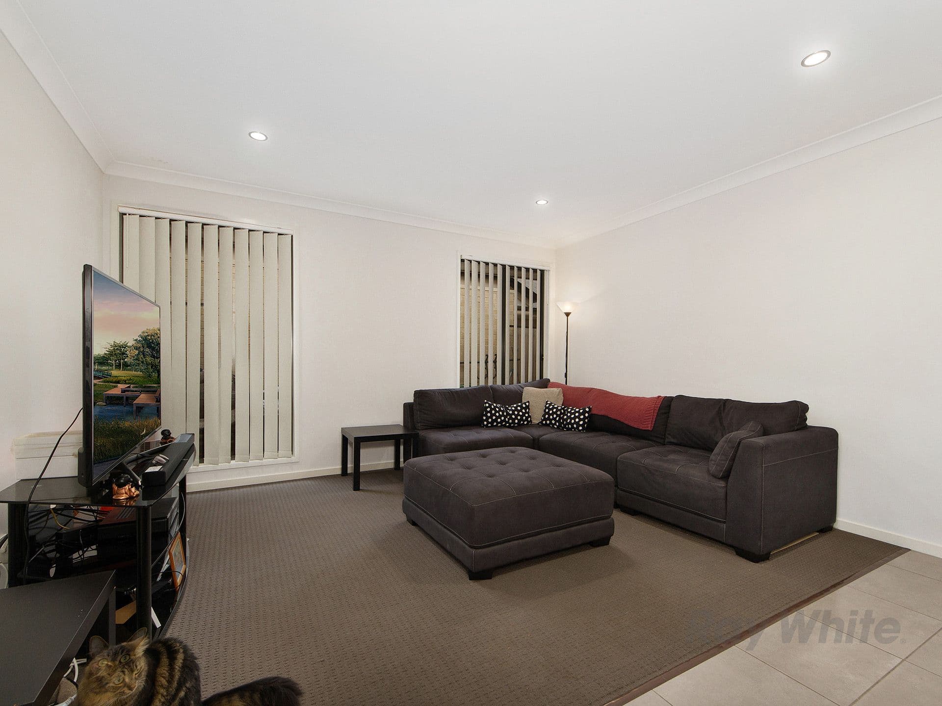 31 Cassius Way, Ormeau QLD 4208, Ormeau - Thumbnail 2