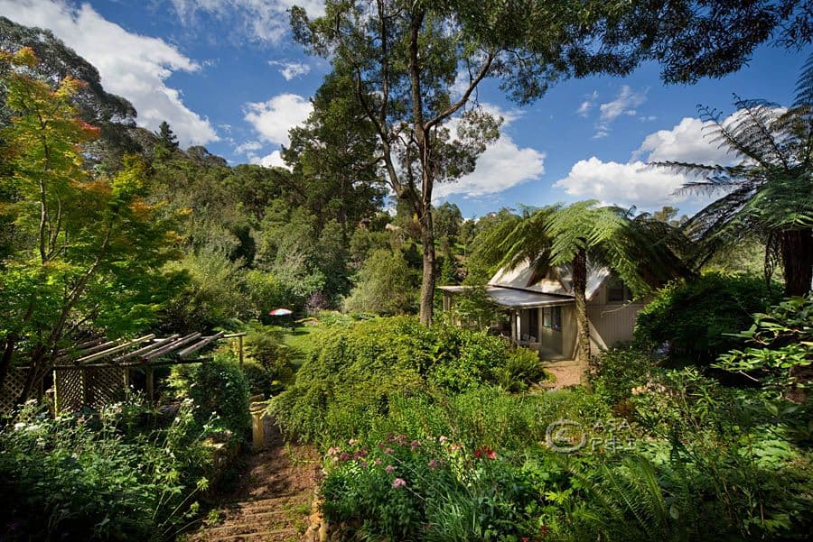 85 Prince Edward Street, Blackheath NSW 2785, Blackheath - Thumbnail 8