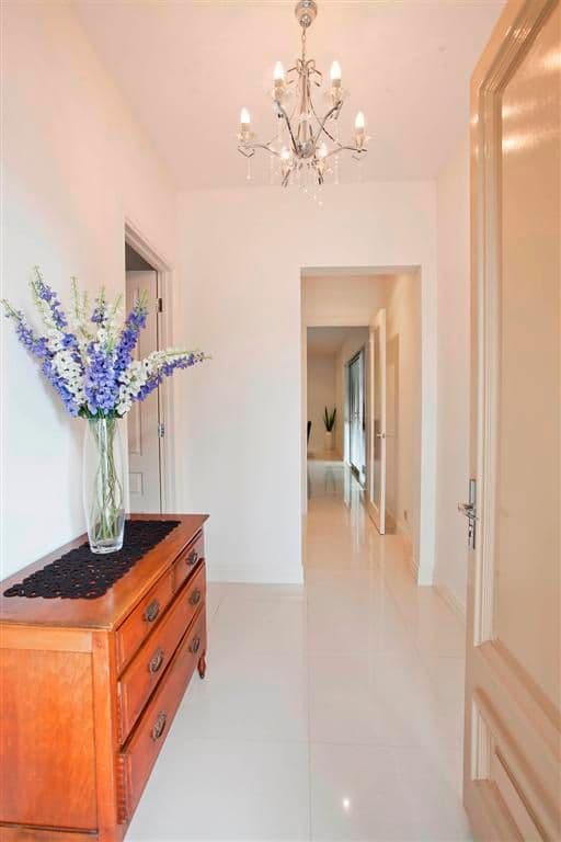 14 Duncan Street, Lockleys SA 5032, Lockleys - Thumbnail 6