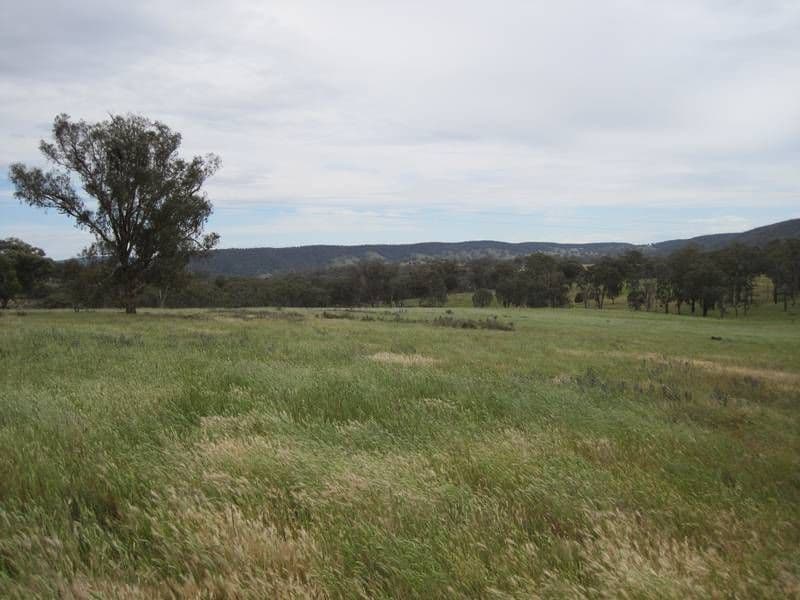 86 Elliotts Road, CROWTHER, YOUNG NSW 2594, Young - Image 1
