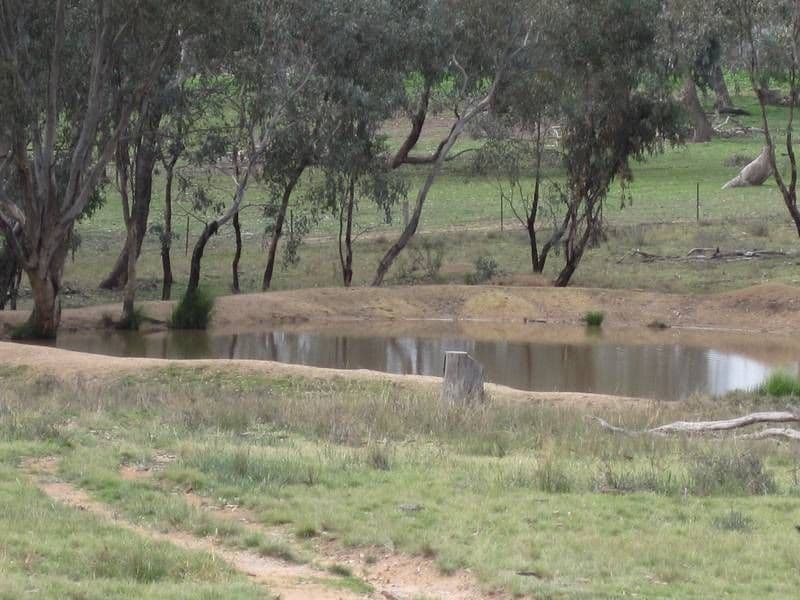86 Elliotts Road, CROWTHER, YOUNG NSW 2594, Young - Thumbnail 2