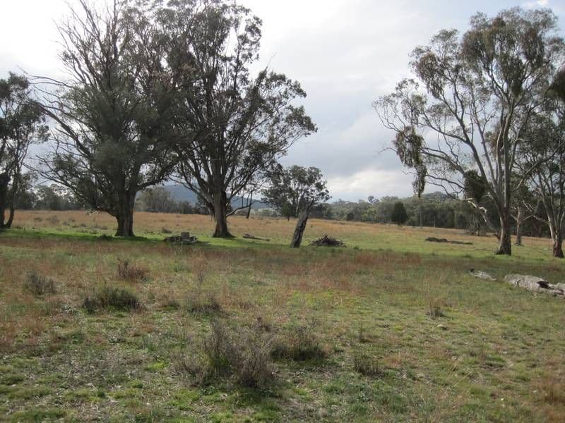 86 Elliotts Road, CROWTHER, YOUNG NSW 2594, Young - Thumbnail 3