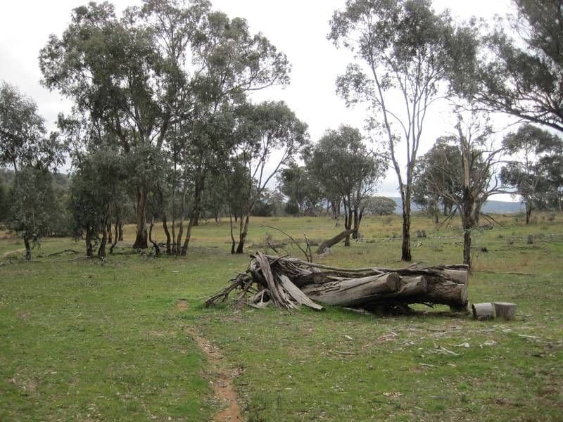 86 Elliotts Road, CROWTHER, YOUNG NSW 2594, Young - Thumbnail 6