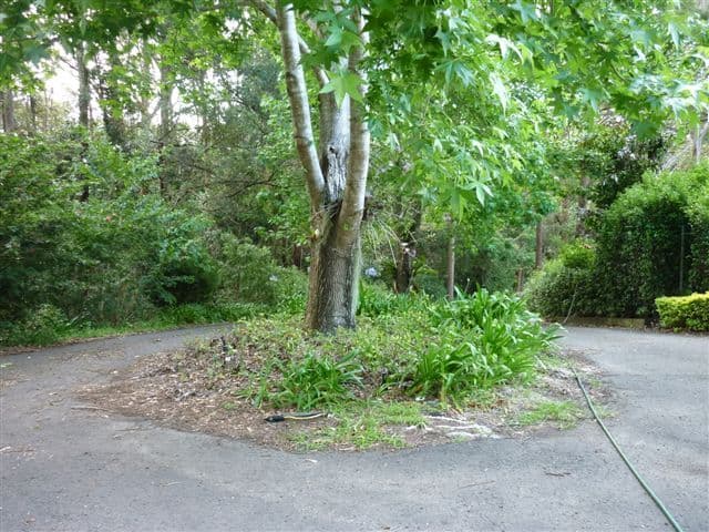 604 Glenmore Drive, Moore Creek, NSW, 2340, Moore Creek - Thumbnail 6