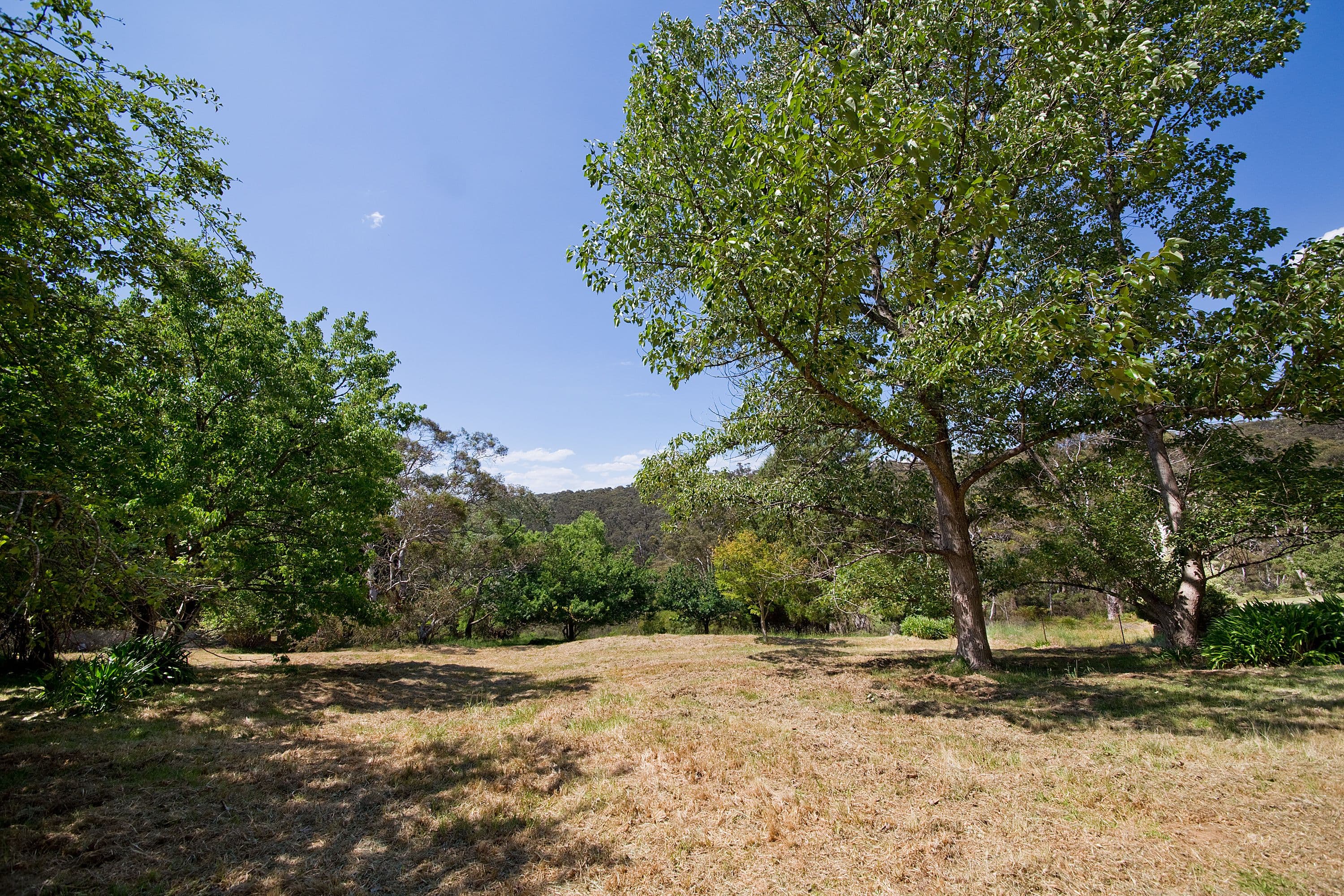 25 Pulpit Hill Road, Katoomba NSW 2780, Katoomba - Thumbnail 4