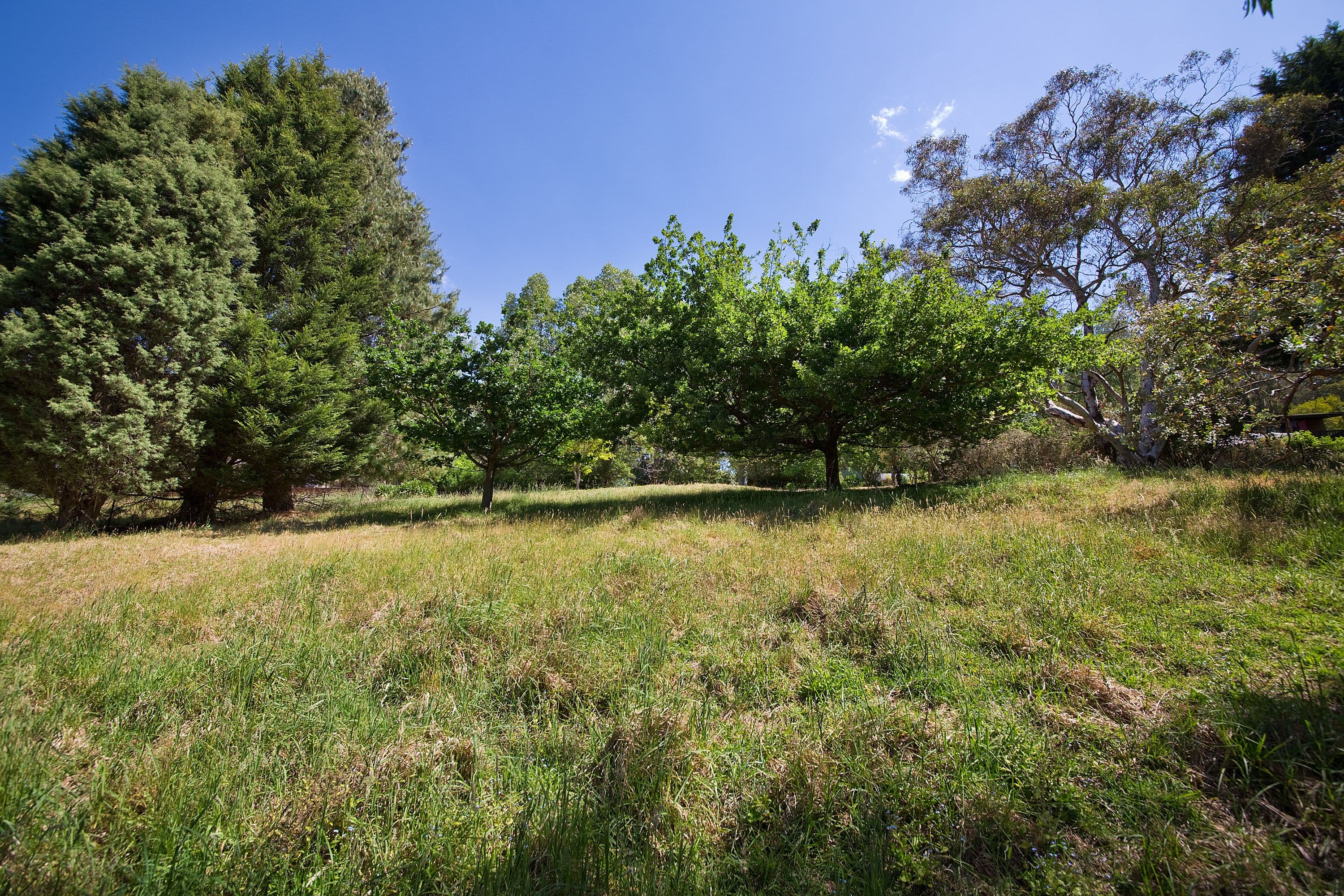 25 Pulpit Hill Road, Katoomba NSW 2780, Katoomba - Thumbnail 7