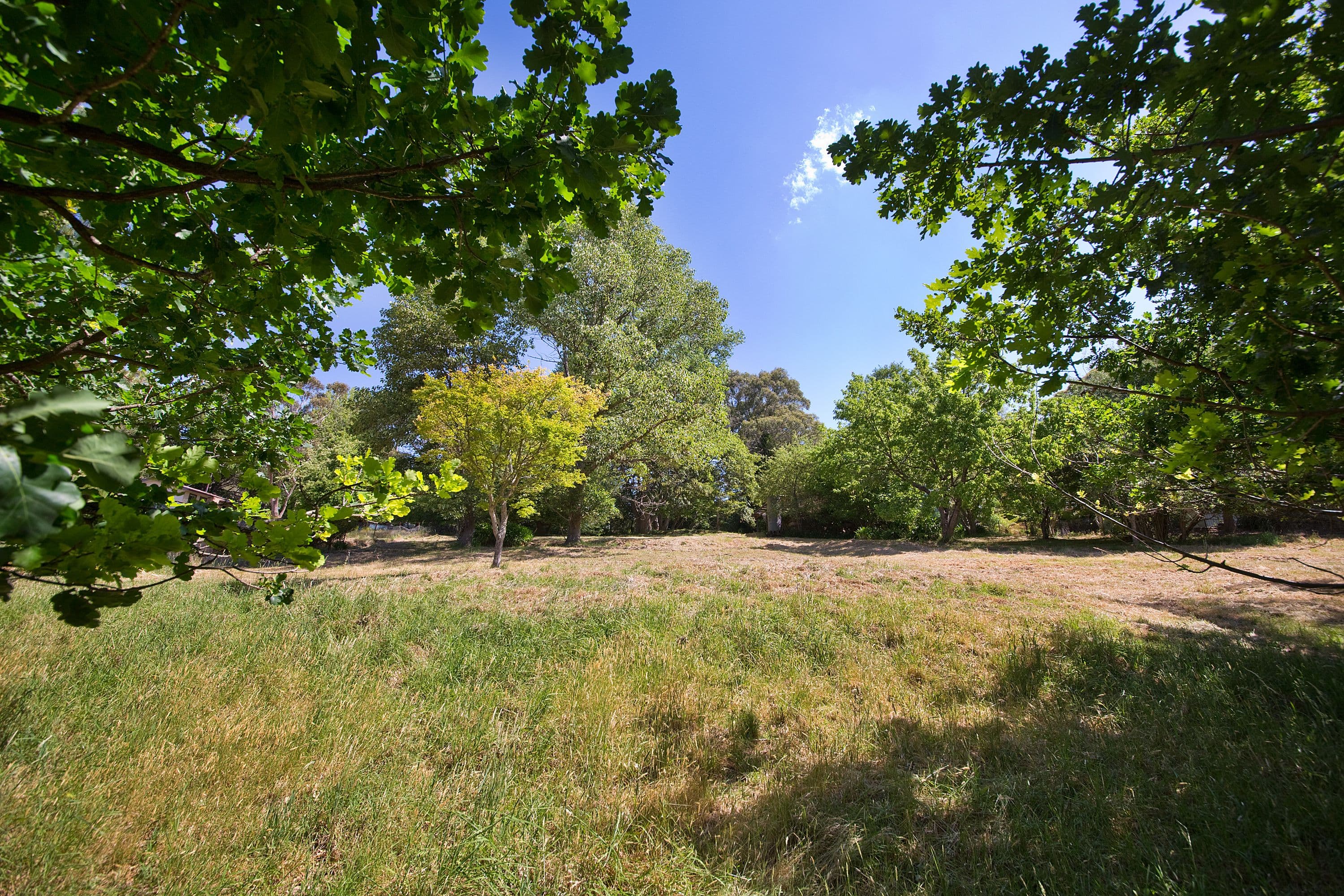 25 Pulpit Hill Road, Katoomba NSW 2780, Katoomba - Thumbnail 8