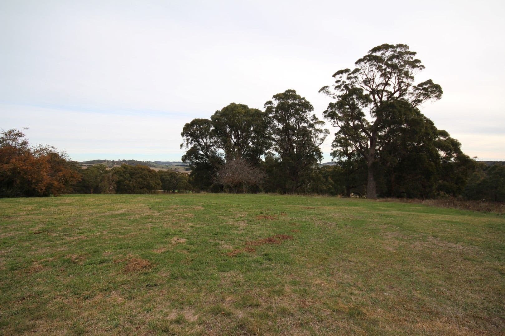 2 Links Close, Oberon NSW 2787, Oberon - Thumbnail 6