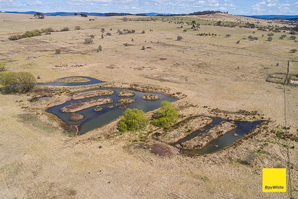 660 Majors Creek Road, Braidwood NSW 2622, Braidwood - Image 1