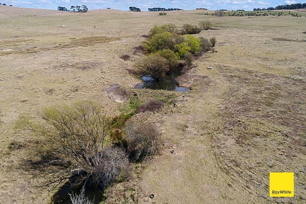 660 Majors Creek Road, Braidwood NSW 2622, Braidwood - Thumbnail 6
