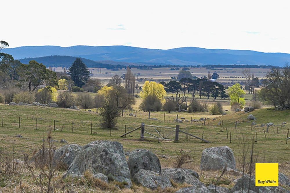 660 Majors Creek Road, Braidwood NSW 2622, Braidwood - Thumbnail 7