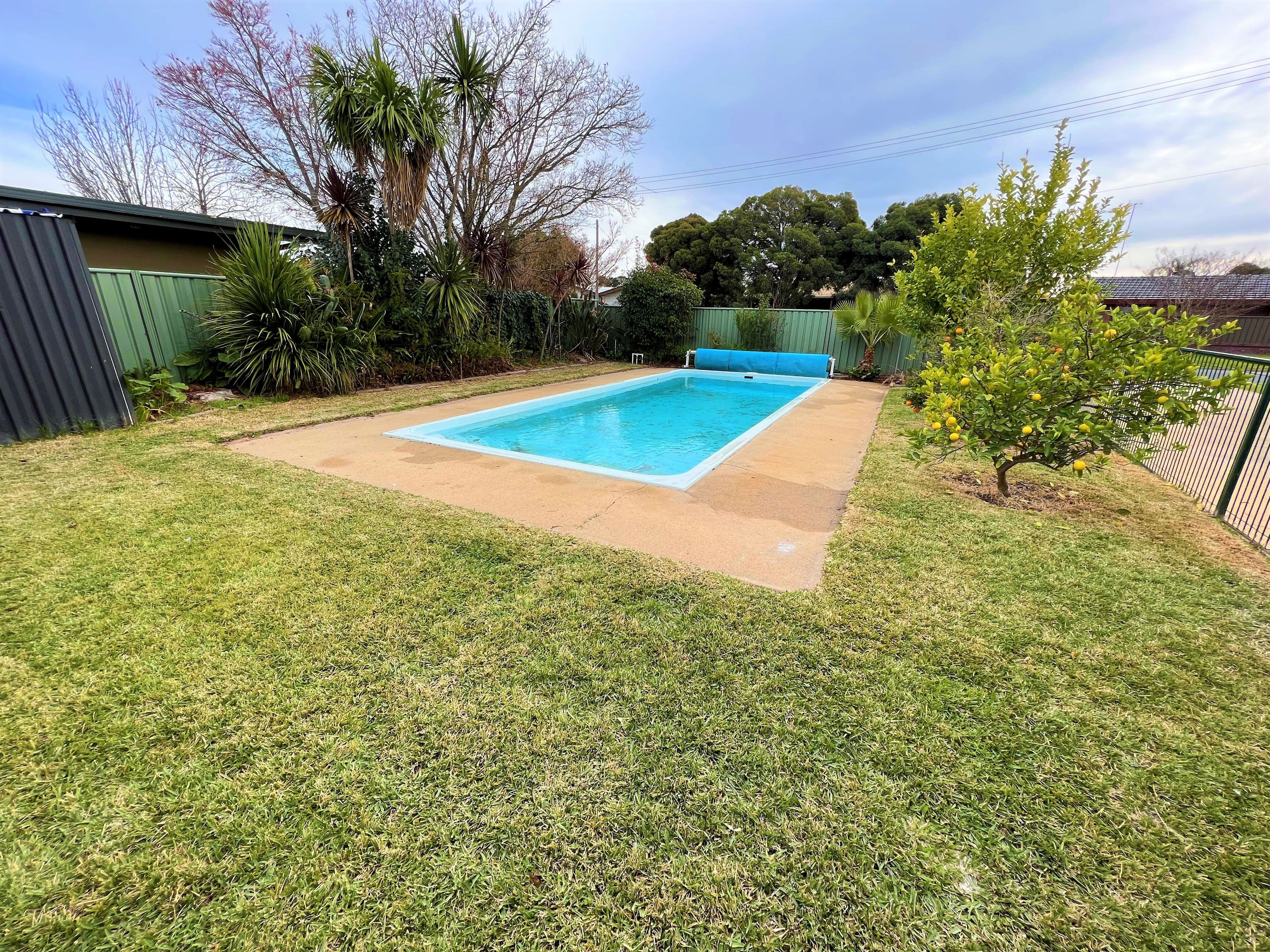 287 Noyes, Deniliquin NSW 2710, Deniliquin - Thumbnail 4