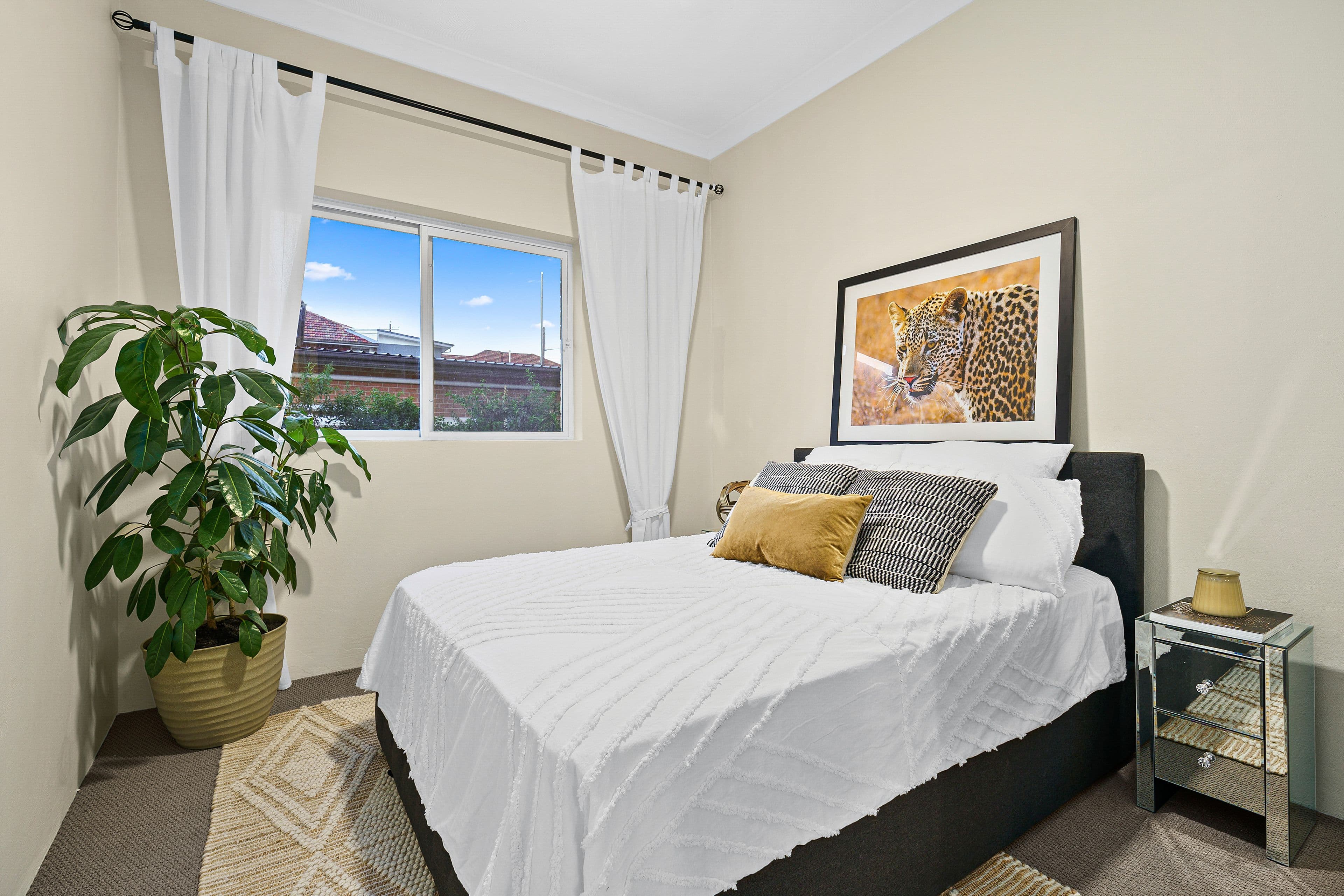 49 Villiers Street, Rockdale NSW 2216, Rockdale - Thumbnail 4
