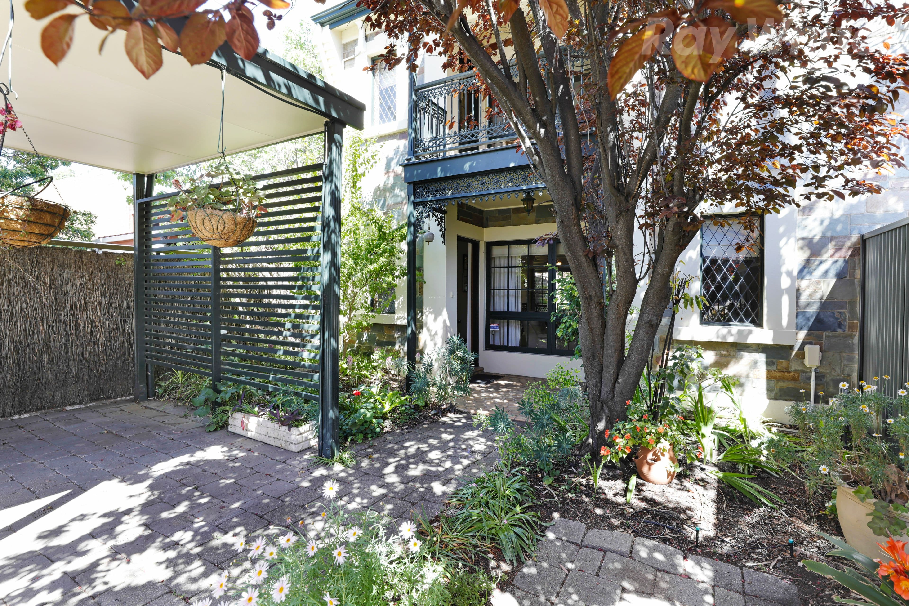 101 Hill Street, North Adelaide SA 5006, North Adelaide - Thumbnail 3