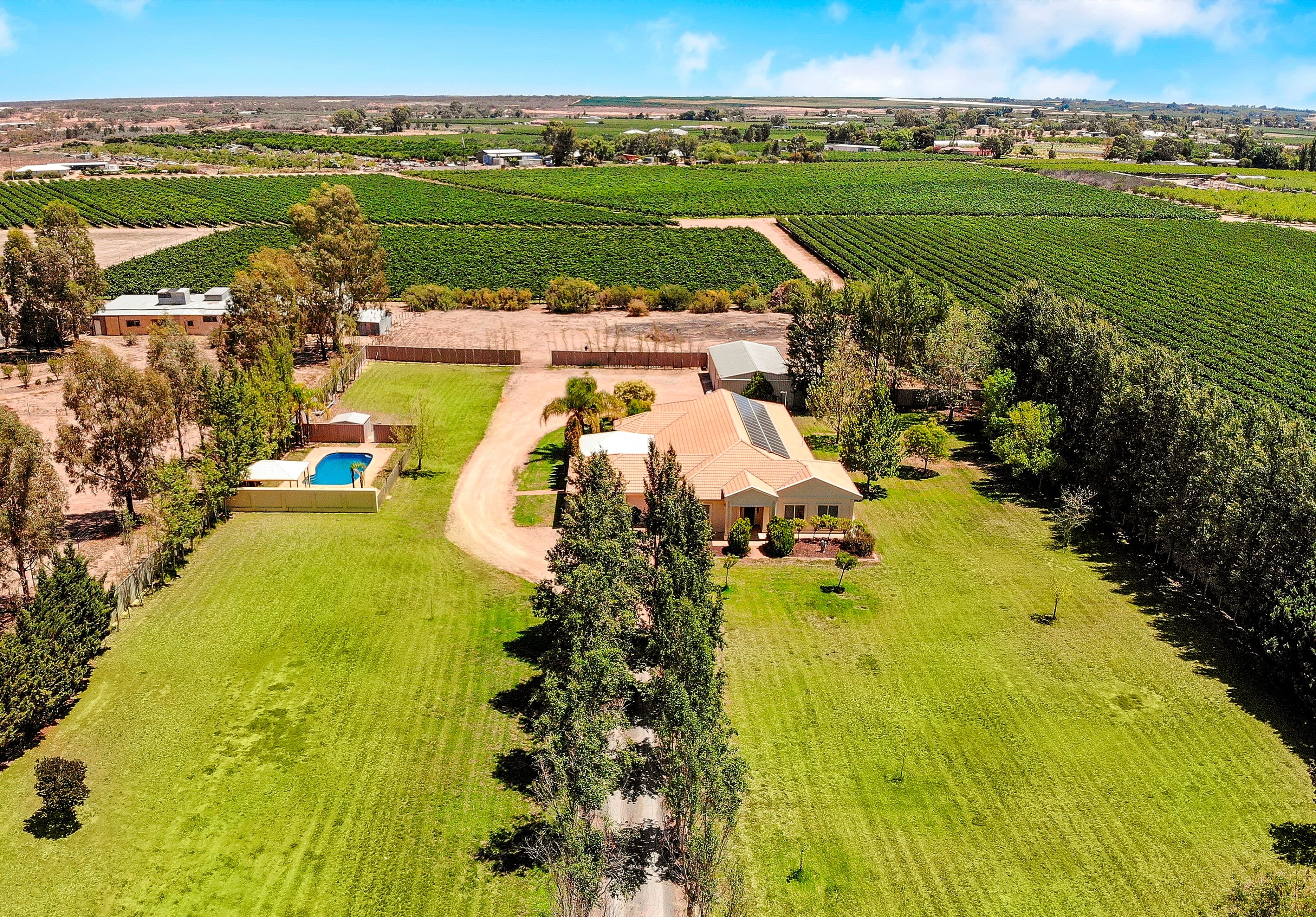 20033 Renmark Avenue, Renmark SA 5341, Renmark South - Image 1