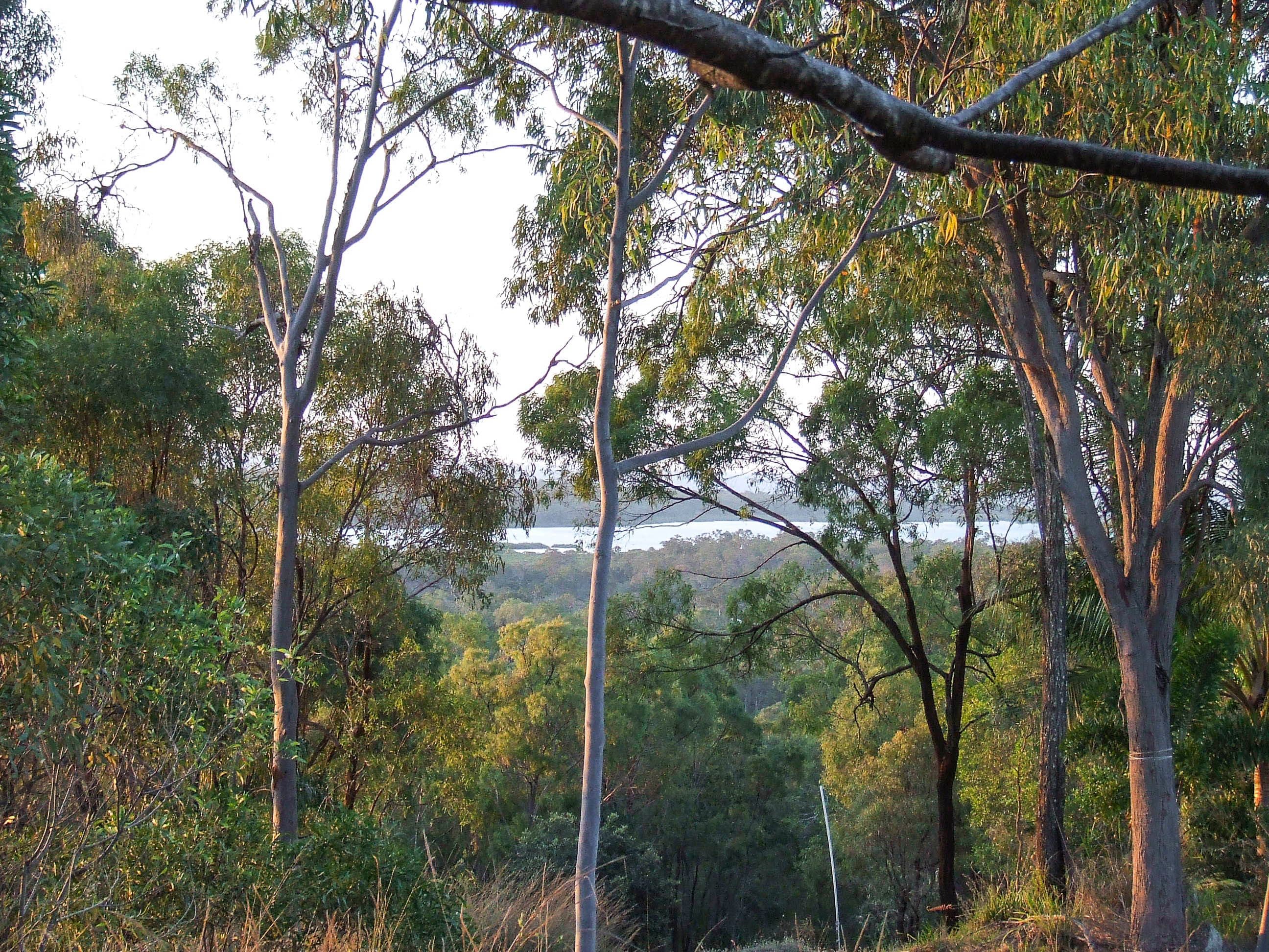 57 Countess Russell Crescent, Agnes Water QLD 4677, Agnes Water - Thumbnail 3