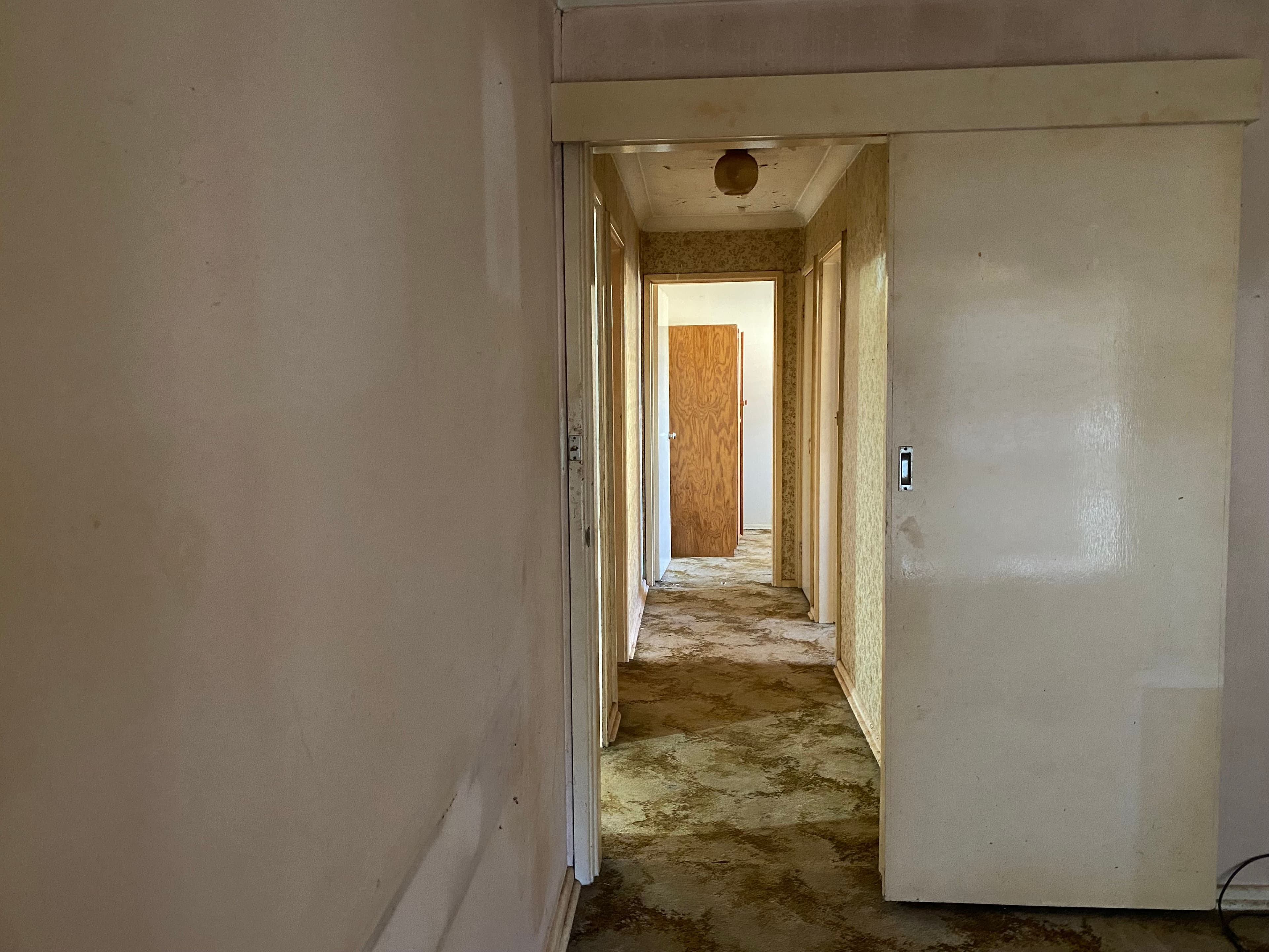 23 Yulong Street, Dubbo NSW 2830, Dubbo - Thumbnail 5